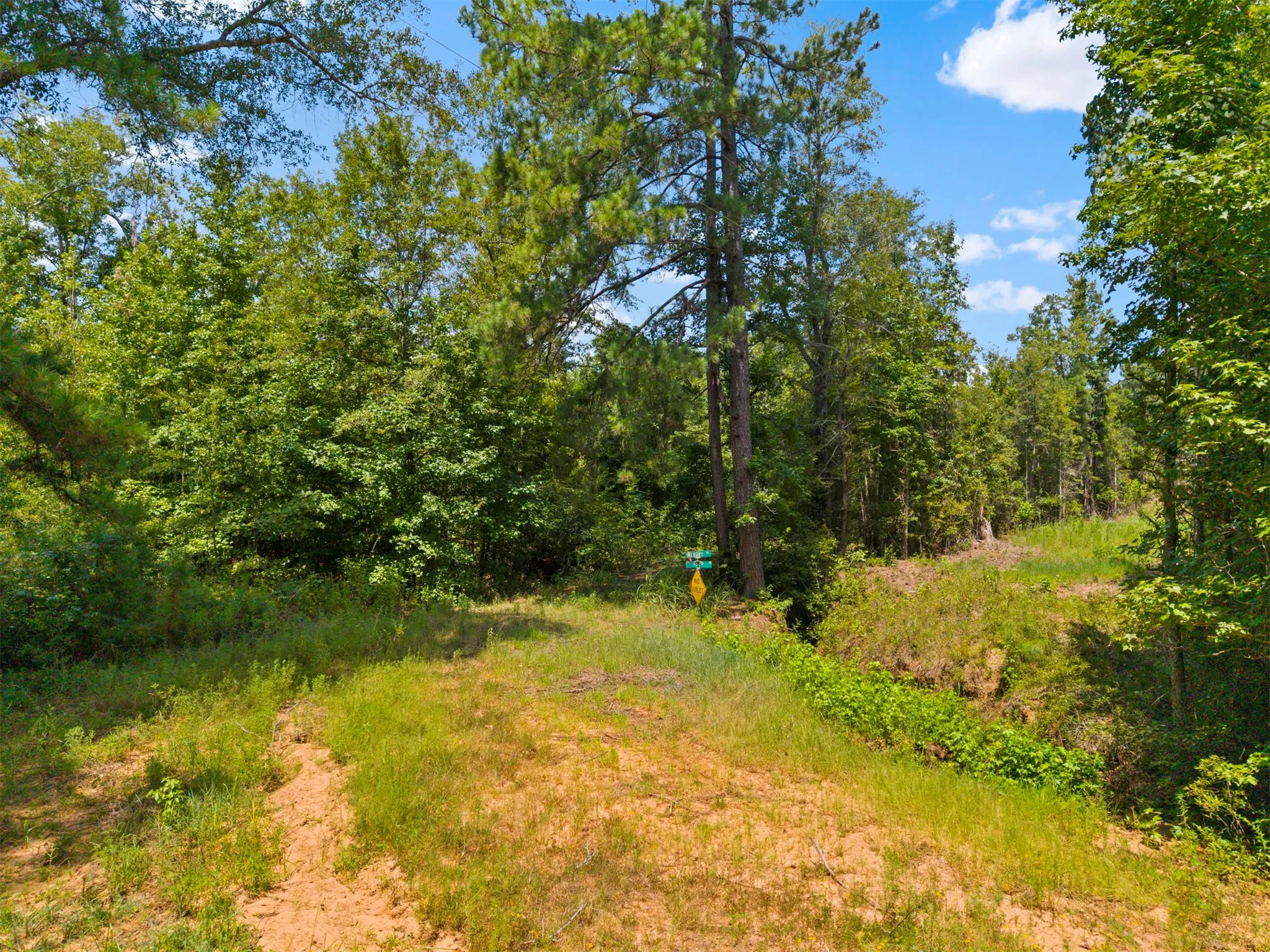 Unimproved Land For Sale in Harrison County , 175 Hickory, Hallsville, Texas 75650, 0, 0, Garage spaces, 0 Sqft, built in 0, mls#21382236, Real Estate Agent in Hallsville, Homes For Sale in Harrison county, Homes For Sale in Hallsville, Realtor in Hallsville Texas, Real Estate Brokerage Independent Realty Texas, Luminita Cordes Realtor