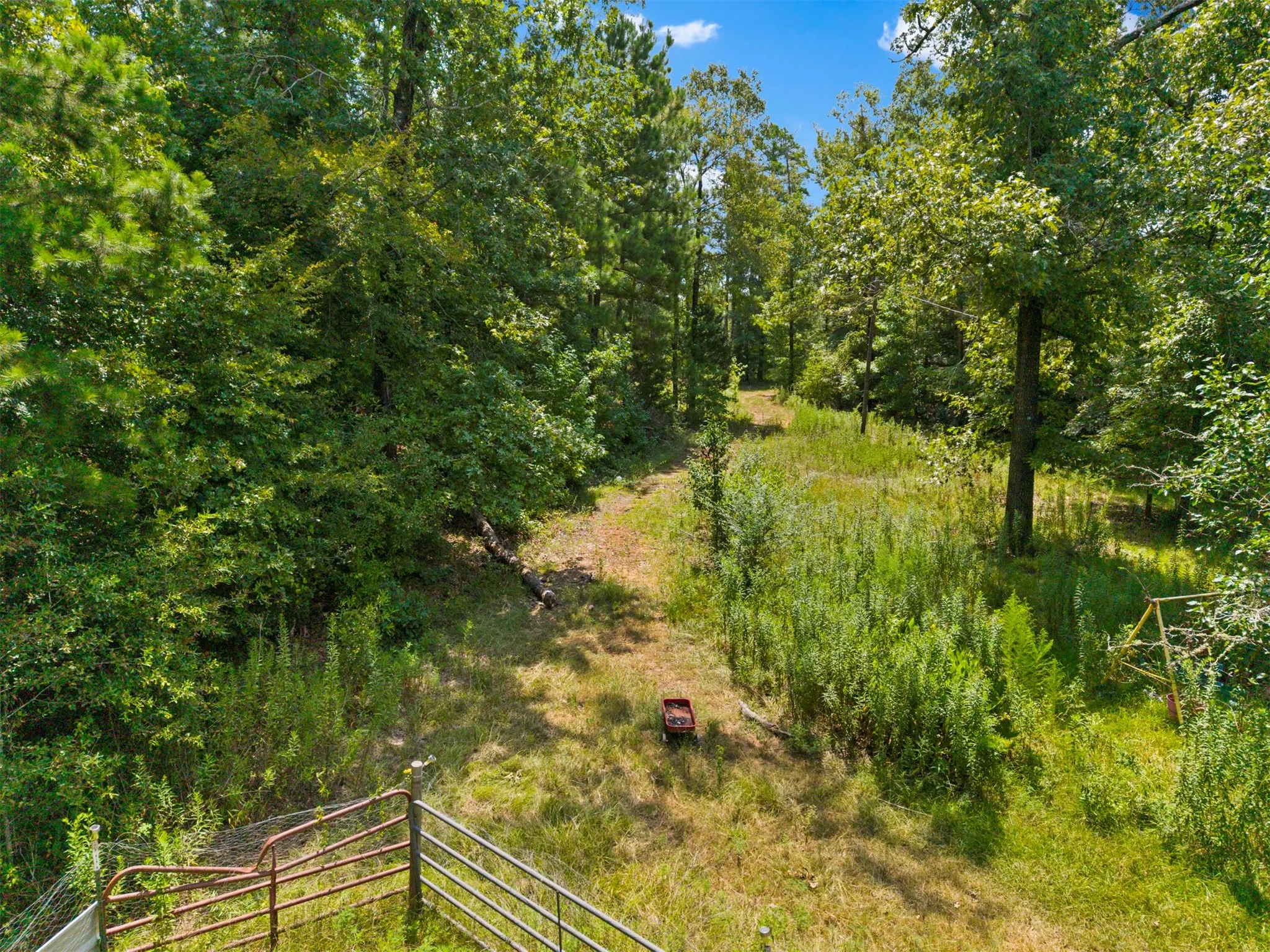 Unimproved Land For Sale in Harrison County , 175 Hickory, Hallsville, Texas 75650, 0, 0, Garage spaces, 0 Sqft, built in 0, mls#21382236, Real Estate Agent in Hallsville, Homes For Sale in Harrison county, Homes For Sale in Hallsville, Realtor in Hallsville Texas, Real Estate Brokerage Independent Realty Texas, Luminita Cordes Realtor