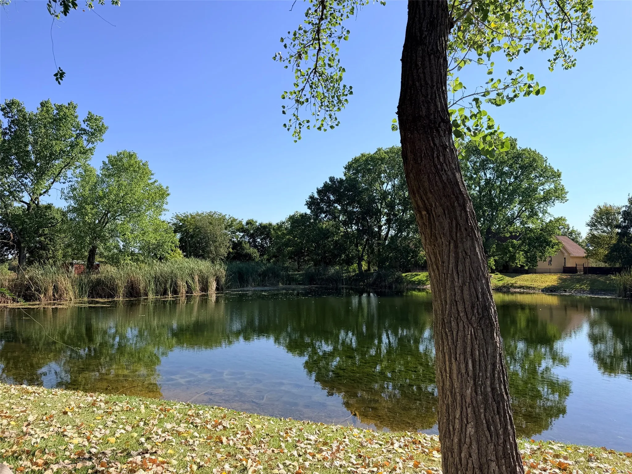 community fishing pond