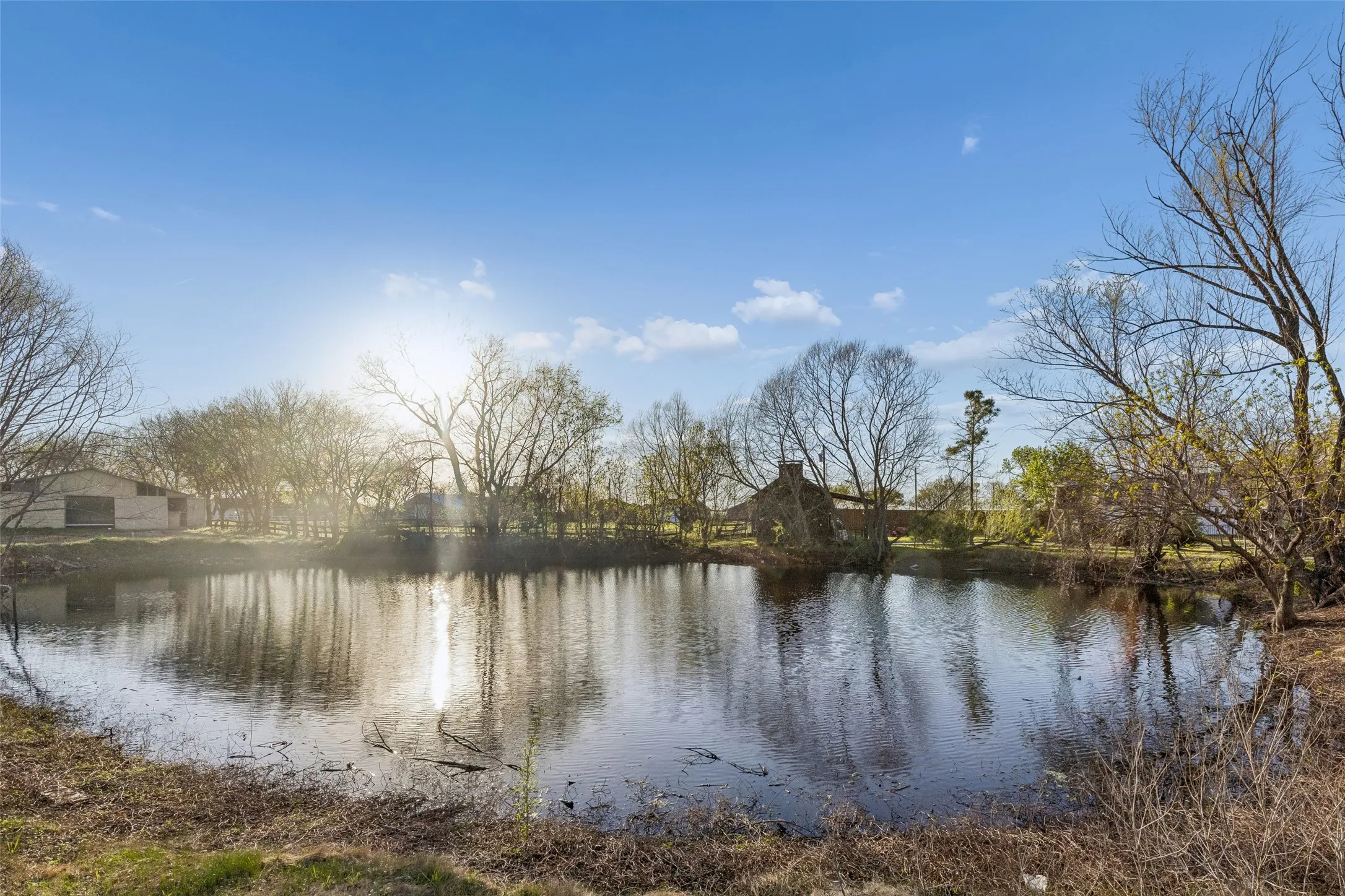 Pond with surrounding trees and a structure in the background