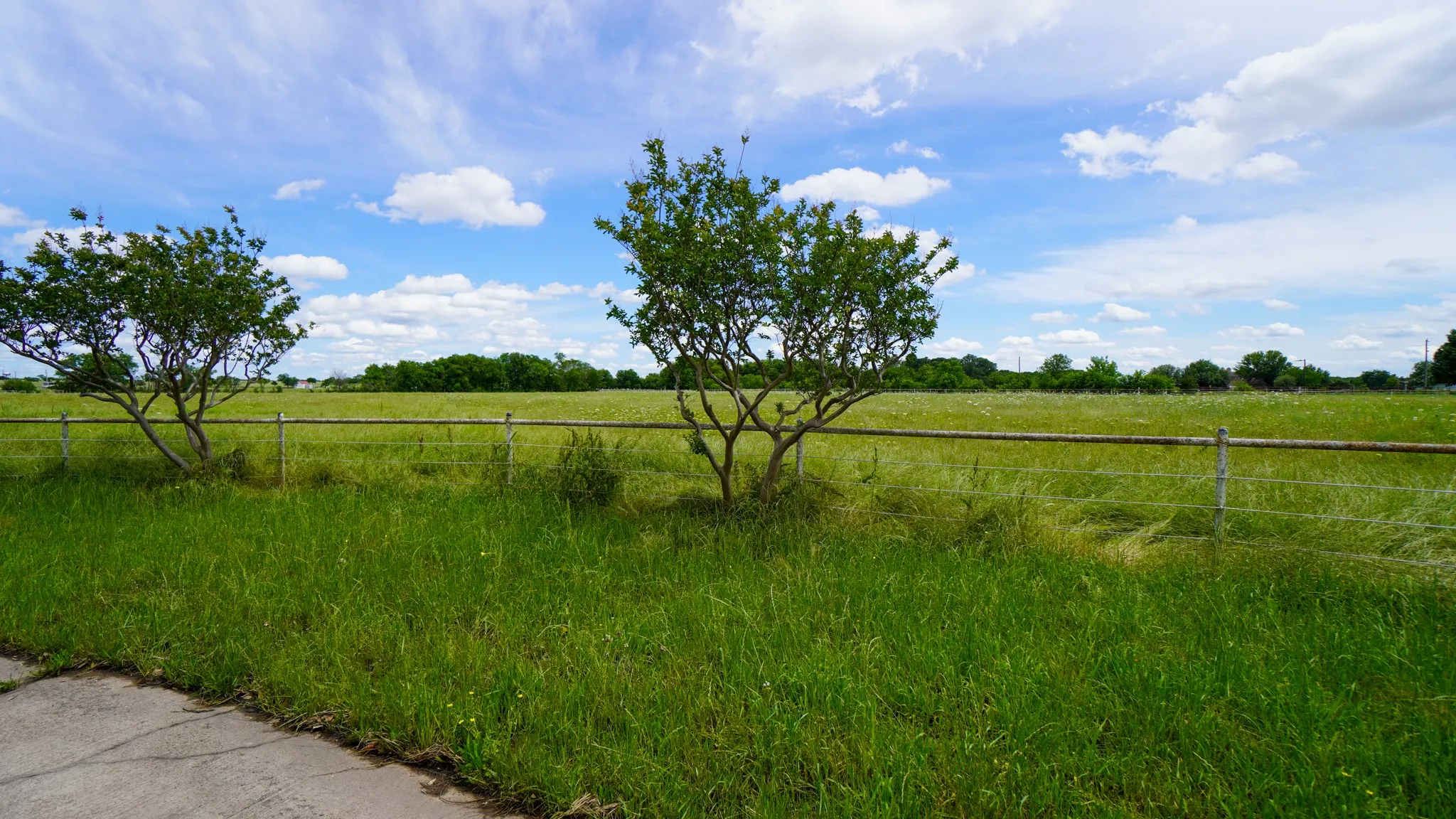 Single Family Residence For Rent in Kaufman County , 6700 Colquitt Road, Terrell, Texas 75160, 4 Bedroom, 2 Bathroom, Garage spaces, 2,345 Sqft, built in 1985, mls#21381706, Real Estate Agent in Terrell, Homes For Rent in Kaufman county, Homes For Rent in Terrell, Realtor in Terrell Texas, Real Estate Brokerage Independent Realty Texas, Luminita Cordes Realtor