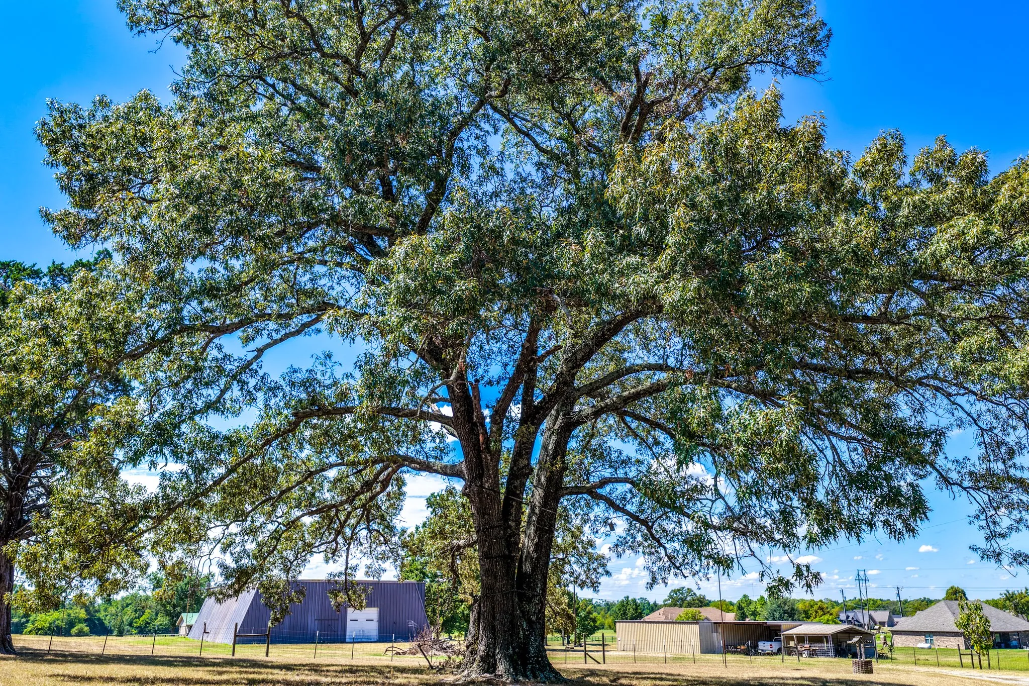 Farm For Sale in Hopkins County , 974 County Road 2310, Sulphur Springs, Texas 75482, 2 Bedroom, 2 Bathroom, Garage spaces, 938 Sqft, built in 1984, mls#21380298, Real Estate Agent in Sulphur Springs, Homes For Sale in Hopkins county, Homes For Sale in Sulphur Springs, Realtor in Sulphur Springs Texas, Real Estate Brokerage Independent Realty Texas, Luminita Cordes Realtor