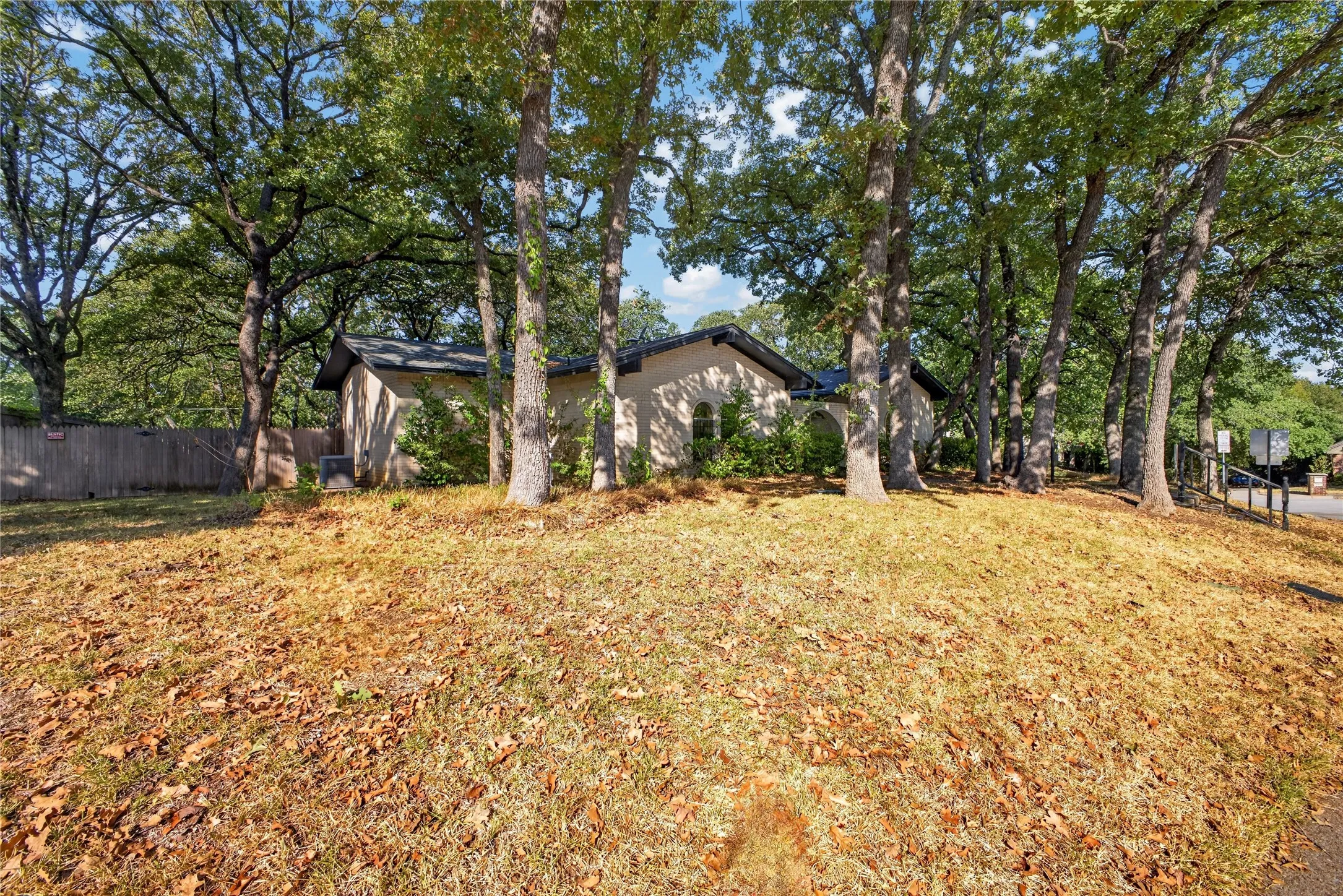 Rear view of the home beneath the mature tree canopy.