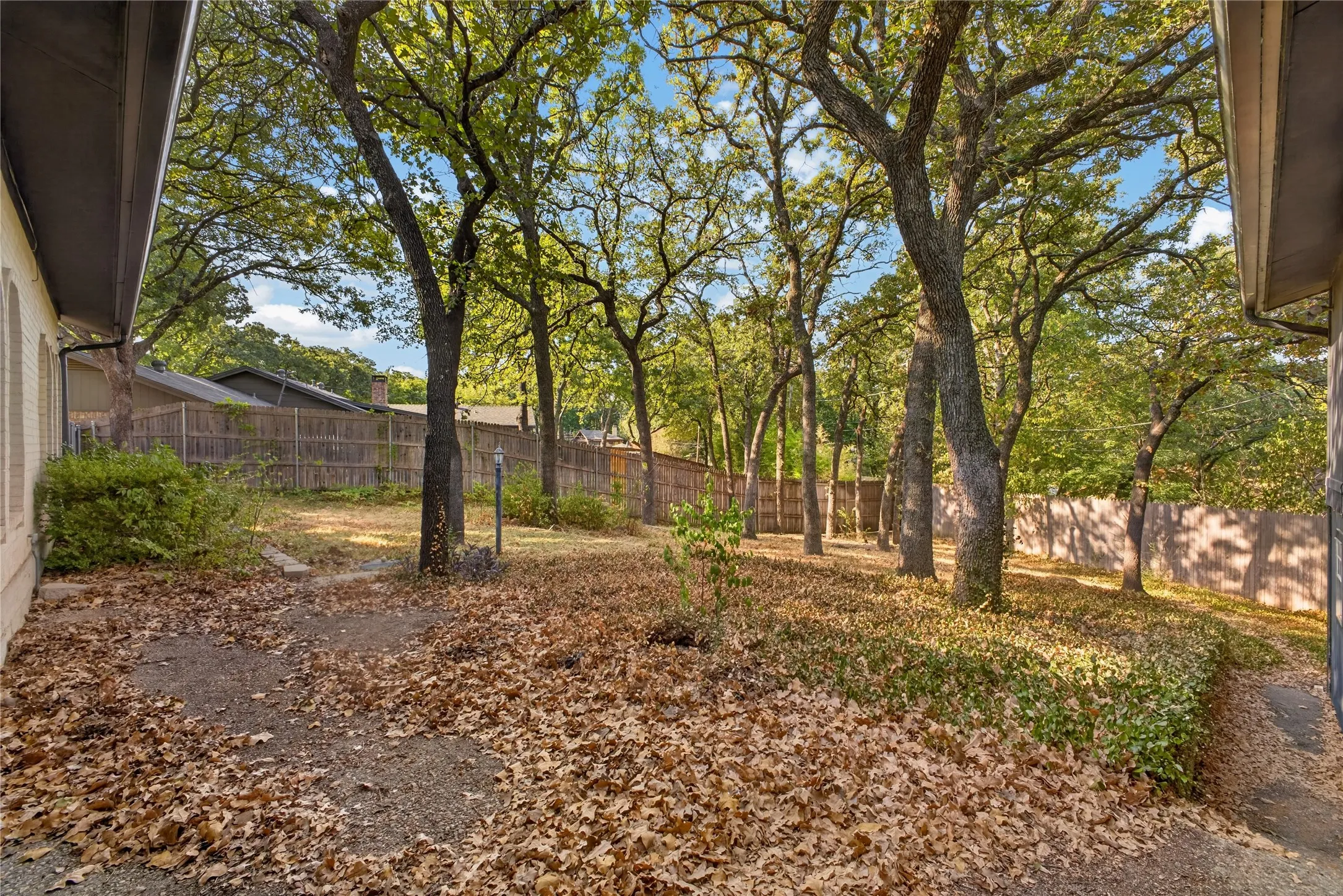 Expansive backyard with mature tree canopy and room to garden, play or relax.