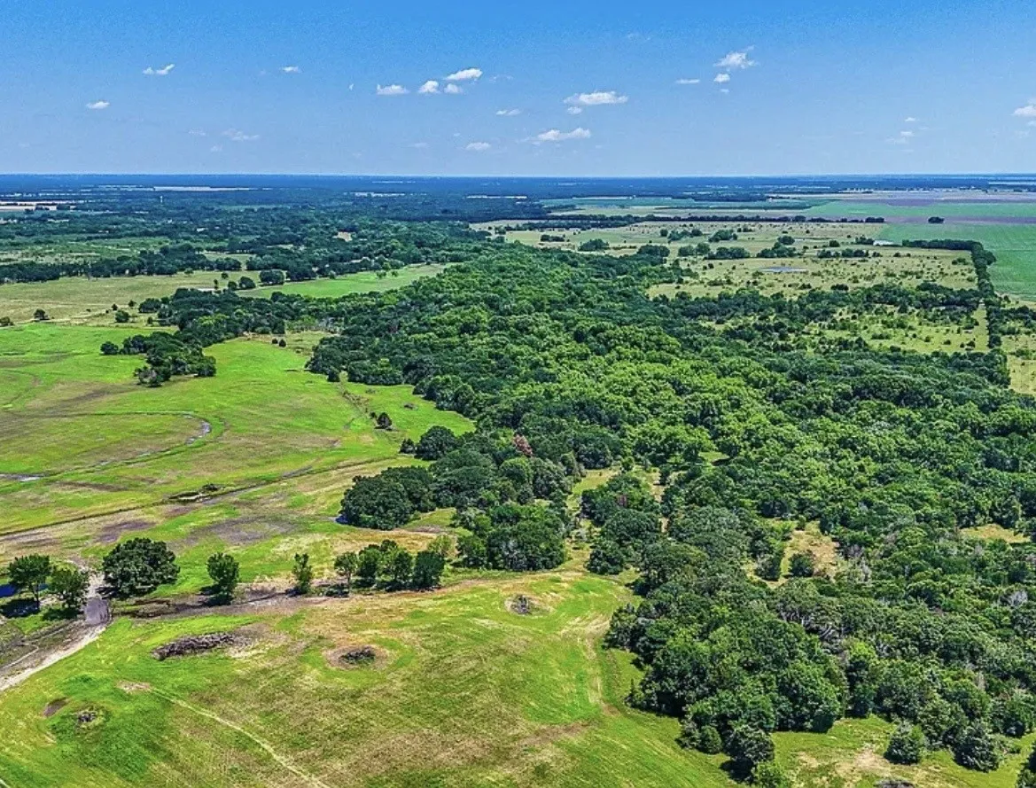 Unimproved Land For Sale in Navarro County , 301 County Road 0120, Kerens, Texas 75144, 0, 0, Garage spaces, 0 Sqft, built in 0, mls#21374131, Real Estate Agent in Kerens, Homes For Sale in Navarro county, Homes For Sale in Kerens, Realtor in Kerens Texas, Real Estate Brokerage Independent Realty Texas, Luminita Cordes Realtor