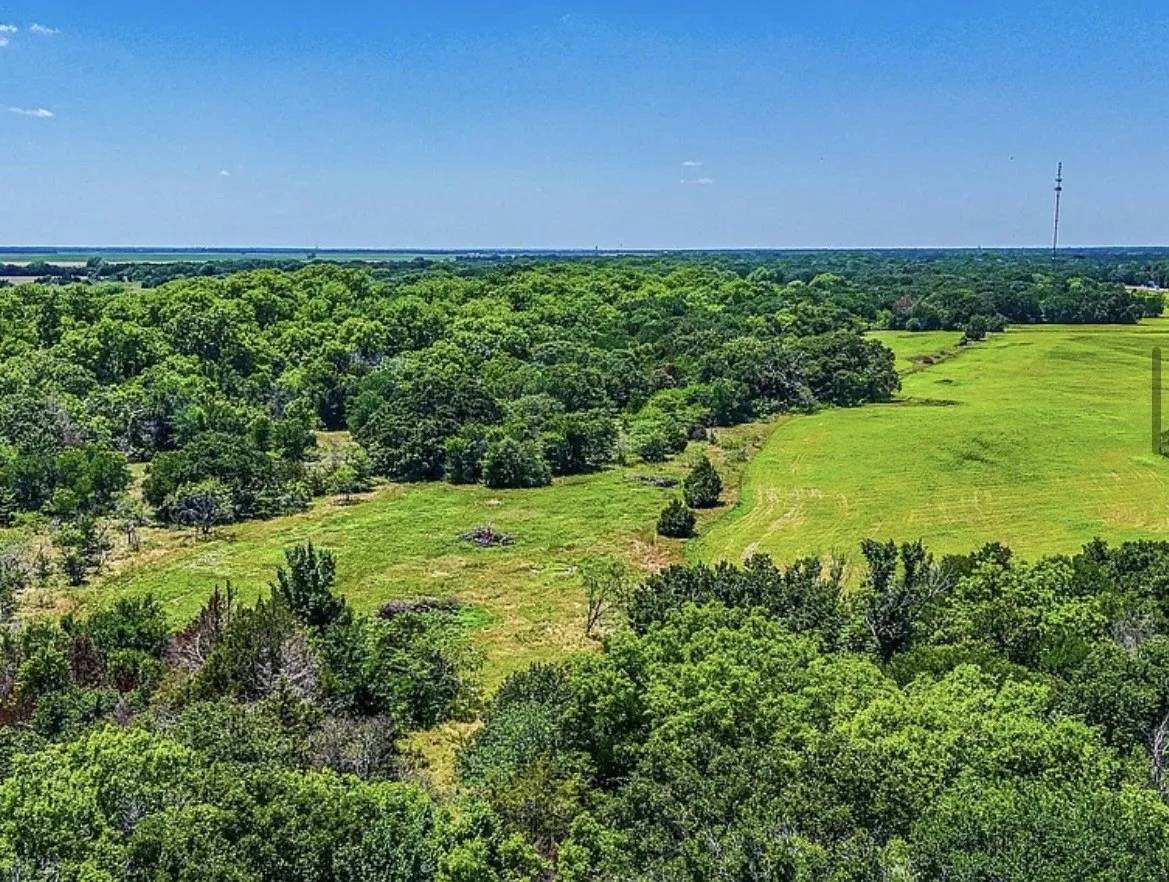 Unimproved Land For Sale in Navarro County , 301 County Road 0120, Kerens, Texas 75144, 0, 0, Garage spaces, 0 Sqft, built in 0, mls#21374131, Real Estate Agent in Kerens, Homes For Sale in Navarro county, Homes For Sale in Kerens, Realtor in Kerens Texas, Real Estate Brokerage Independent Realty Texas, Luminita Cordes Realtor
