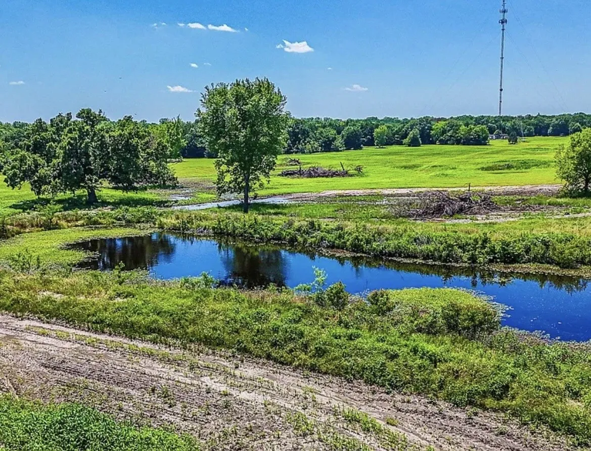 Unimproved Land For Sale in Navarro County , 301 County Road 0120, Kerens, Texas 75144, 0, 0, Garage spaces, 0 Sqft, built in 0, mls#21374131, Real Estate Agent in Kerens, Homes For Sale in Navarro county, Homes For Sale in Kerens, Realtor in Kerens Texas, Real Estate Brokerage Independent Realty Texas, Luminita Cordes Realtor