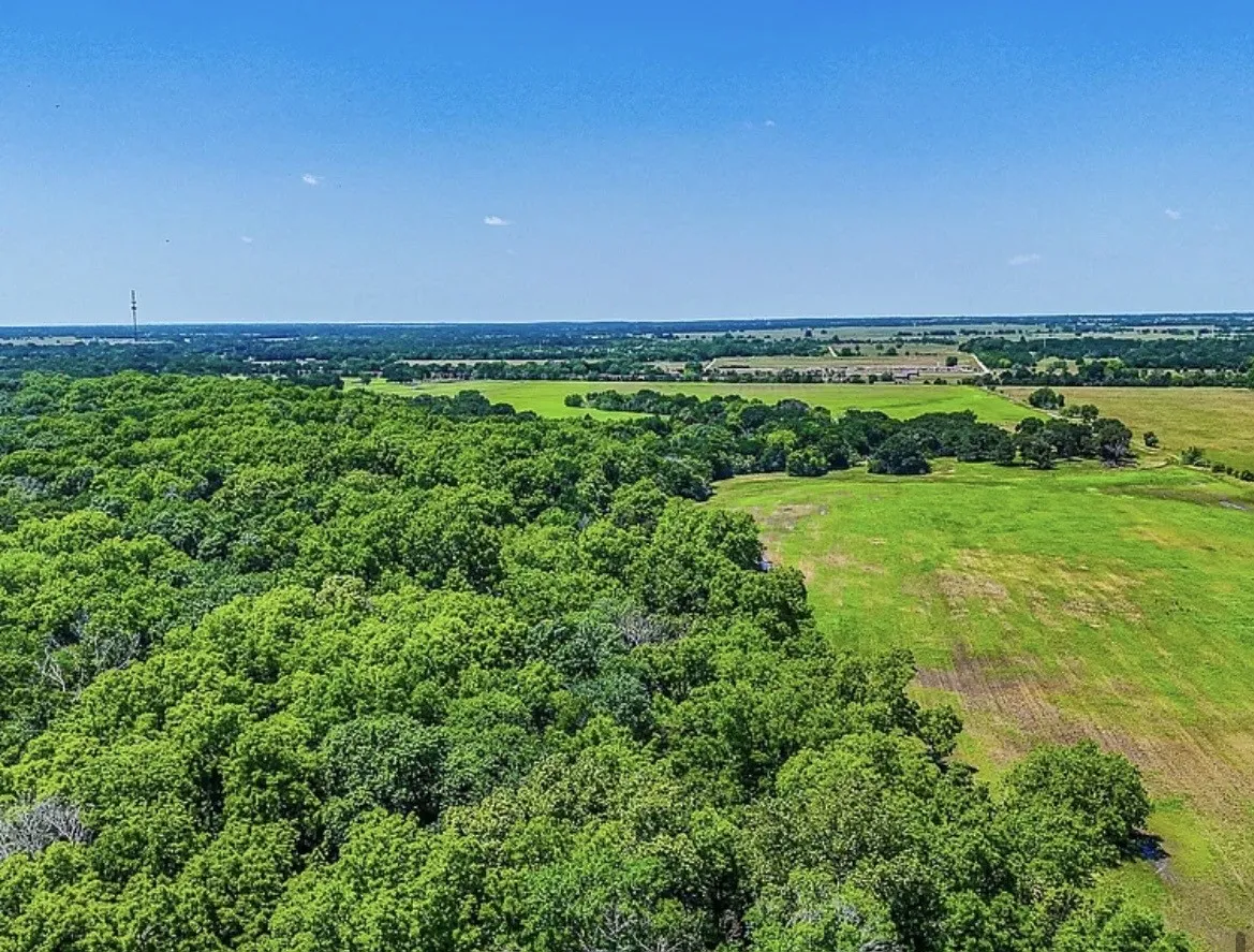 Unimproved Land For Sale in Navarro County , 301 County Road 0120, Kerens, Texas 75144, 0, 0, Garage spaces, 0 Sqft, built in 0, mls#21374131, Real Estate Agent in Kerens, Homes For Sale in Navarro county, Homes For Sale in Kerens, Realtor in Kerens Texas, Real Estate Brokerage Independent Realty Texas, Luminita Cordes Realtor