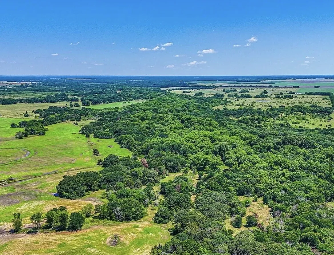 Unimproved Land For Sale in Navarro County , 301 County Road 0120, Kerens, Texas 75144, 0, 0, Garage spaces, 0 Sqft, built in 0, mls#21374131, Real Estate Agent in Kerens, Homes For Sale in Navarro county, Homes For Sale in Kerens, Realtor in Kerens Texas, Real Estate Brokerage Independent Realty Texas, Luminita Cordes Realtor