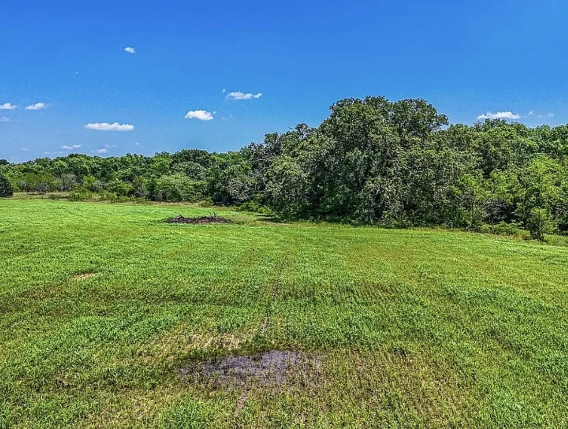 Unimproved Land For Sale in Navarro County , 301 County Road 0120, Kerens, Texas 75144, 0, 0, Garage spaces, 0 Sqft, built in 0, mls#21374131, Real Estate Agent in Kerens, Homes For Sale in Navarro county, Homes For Sale in Kerens, Realtor in Kerens Texas, Real Estate Brokerage Independent Realty Texas, Luminita Cordes Realtor