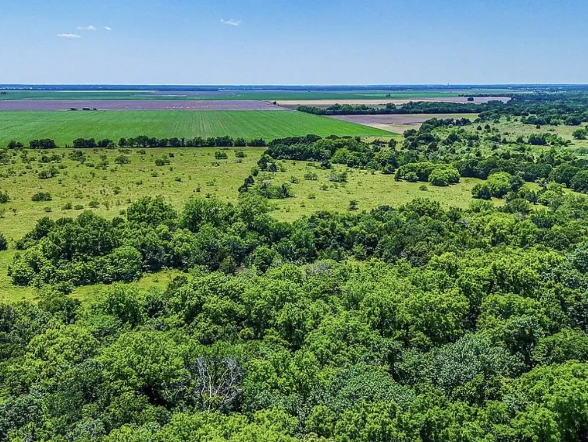 Unimproved Land For Sale in Navarro County , 301 County Road 0120, Kerens, Texas 75144, 0, 0, Garage spaces, 0 Sqft, built in 0, mls#21374131, Real Estate Agent in Kerens, Homes For Sale in Navarro county, Homes For Sale in Kerens, Realtor in Kerens Texas, Real Estate Brokerage Independent Realty Texas, Luminita Cordes Realtor