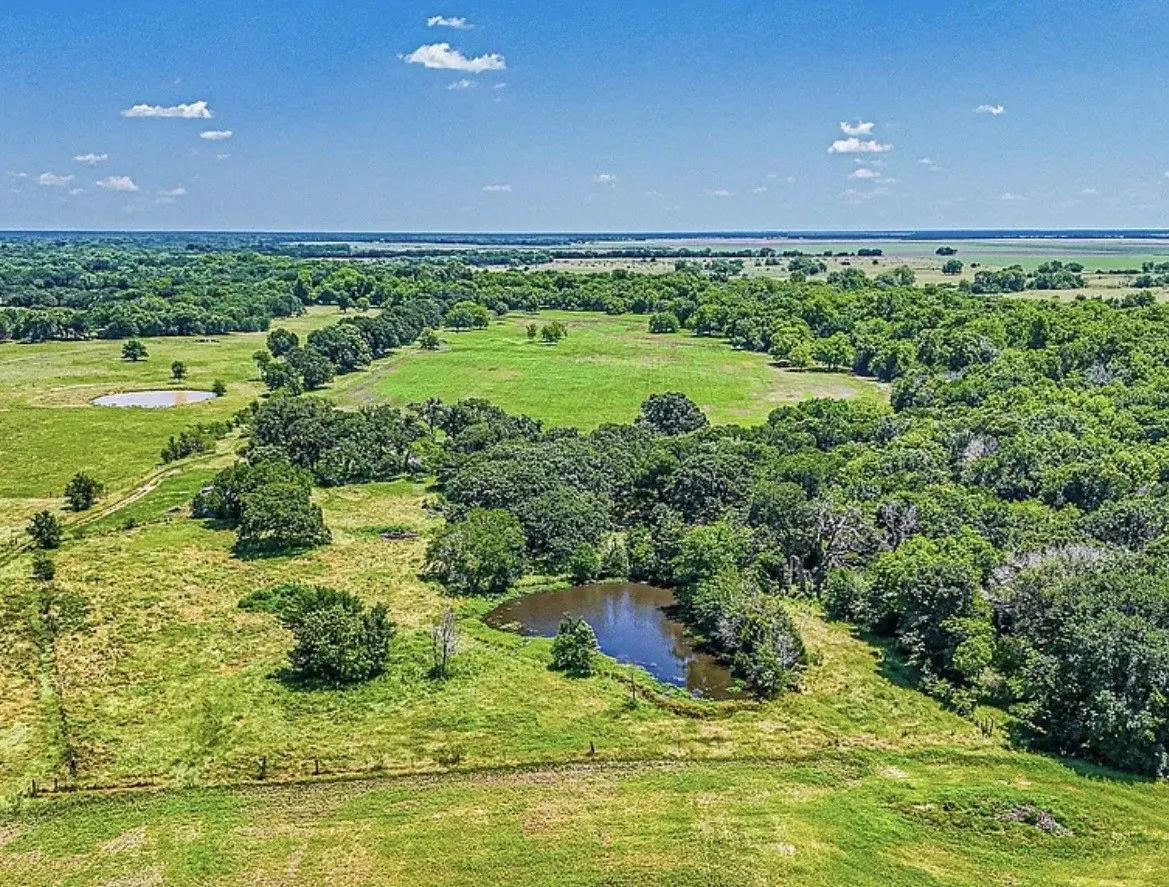 Unimproved Land For Sale in Navarro County , 301 County Road 0120, Kerens, Texas 75144, 0, 0, Garage spaces, 0 Sqft, built in 0, mls#21374131, Real Estate Agent in Kerens, Homes For Sale in Navarro county, Homes For Sale in Kerens, Realtor in Kerens Texas, Real Estate Brokerage Independent Realty Texas, Luminita Cordes Realtor