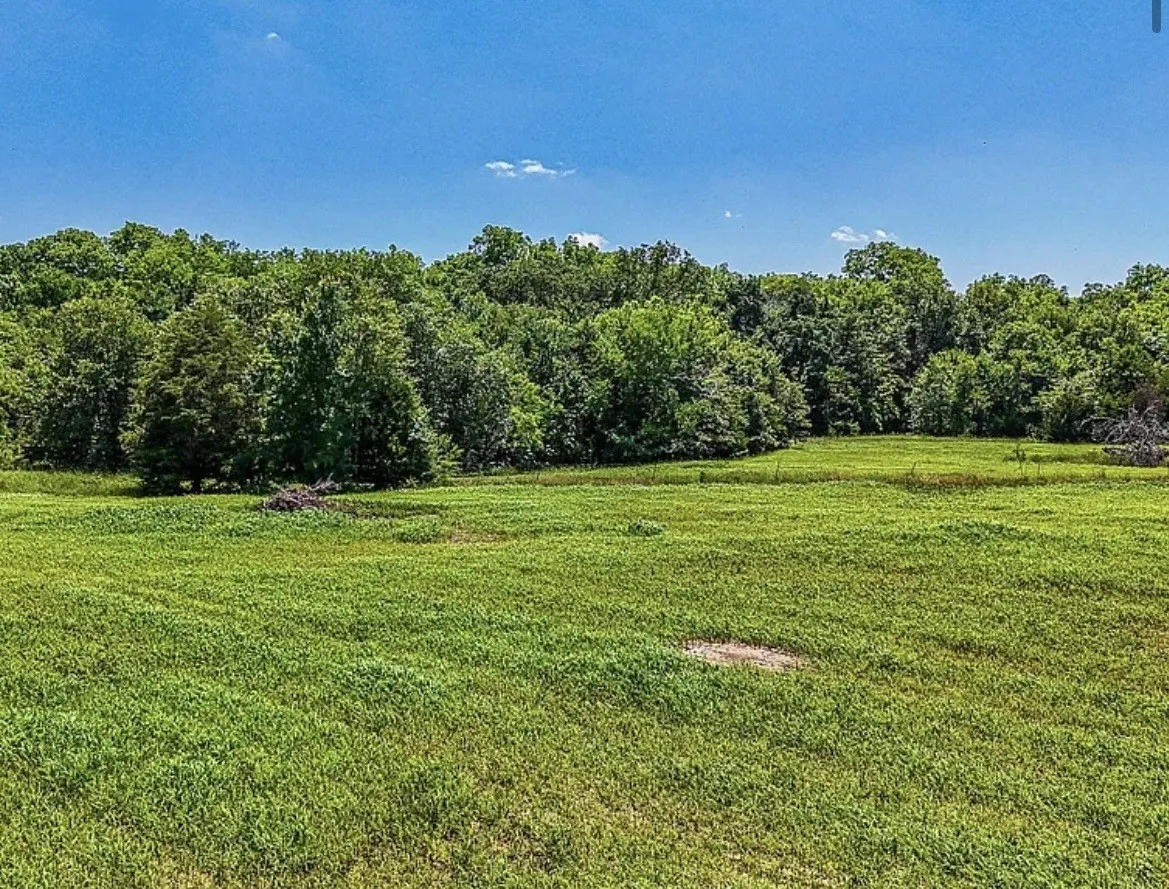 Unimproved Land For Sale in Navarro County , 301 County Road 0120, Kerens, Texas 75144, 0, 0, Garage spaces, 0 Sqft, built in 0, mls#21374131, Real Estate Agent in Kerens, Homes For Sale in Navarro county, Homes For Sale in Kerens, Realtor in Kerens Texas, Real Estate Brokerage Independent Realty Texas, Luminita Cordes Realtor