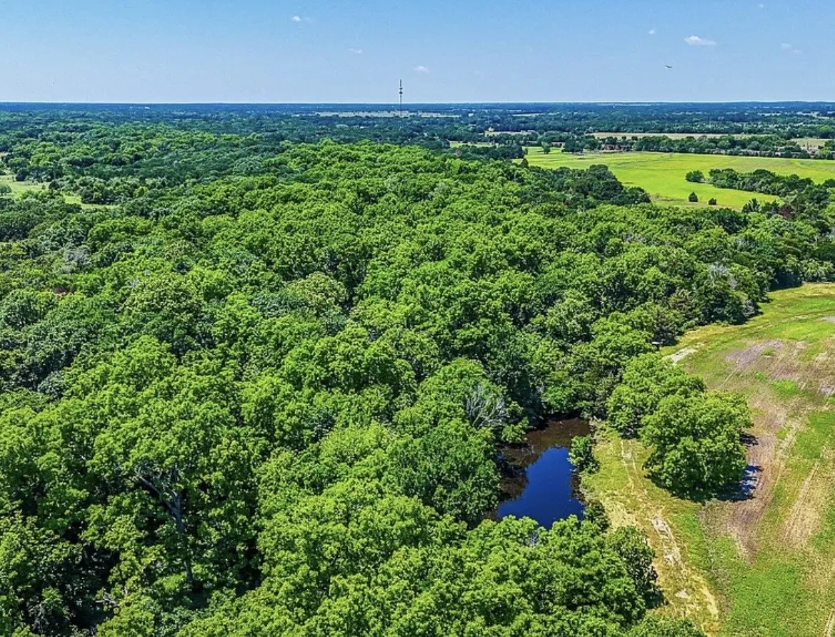 Unimproved Land For Sale in Navarro County , 301 County Road 0120, Kerens, Texas 75144, 0, 0, Garage spaces, 0 Sqft, built in 0, mls#21374131, Real Estate Agent in Kerens, Homes For Sale in Navarro county, Homes For Sale in Kerens, Realtor in Kerens Texas, Real Estate Brokerage Independent Realty Texas, Luminita Cordes Realtor