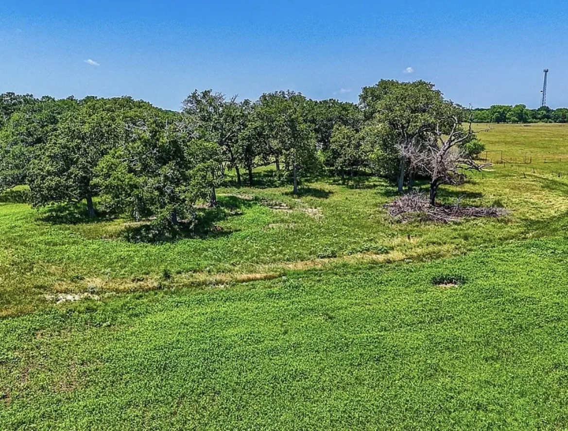 Unimproved Land For Sale in Navarro County , 301 County Road 0120, Kerens, Texas 75144, 0, 0, Garage spaces, 0 Sqft, built in 0, mls#21374131, Real Estate Agent in Kerens, Homes For Sale in Navarro county, Homes For Sale in Kerens, Realtor in Kerens Texas, Real Estate Brokerage Independent Realty Texas, Luminita Cordes Realtor