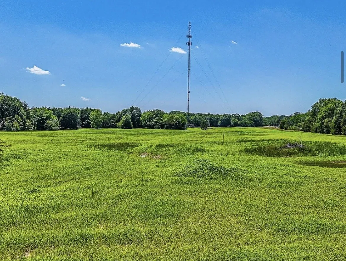 Unimproved Land For Sale in Navarro County , 301 County Road 0120, Kerens, Texas 75144, 0, 0, Garage spaces, 0 Sqft, built in 0, mls#21374131, Real Estate Agent in Kerens, Homes For Sale in Navarro county, Homes For Sale in Kerens, Realtor in Kerens Texas, Real Estate Brokerage Independent Realty Texas, Luminita Cordes Realtor