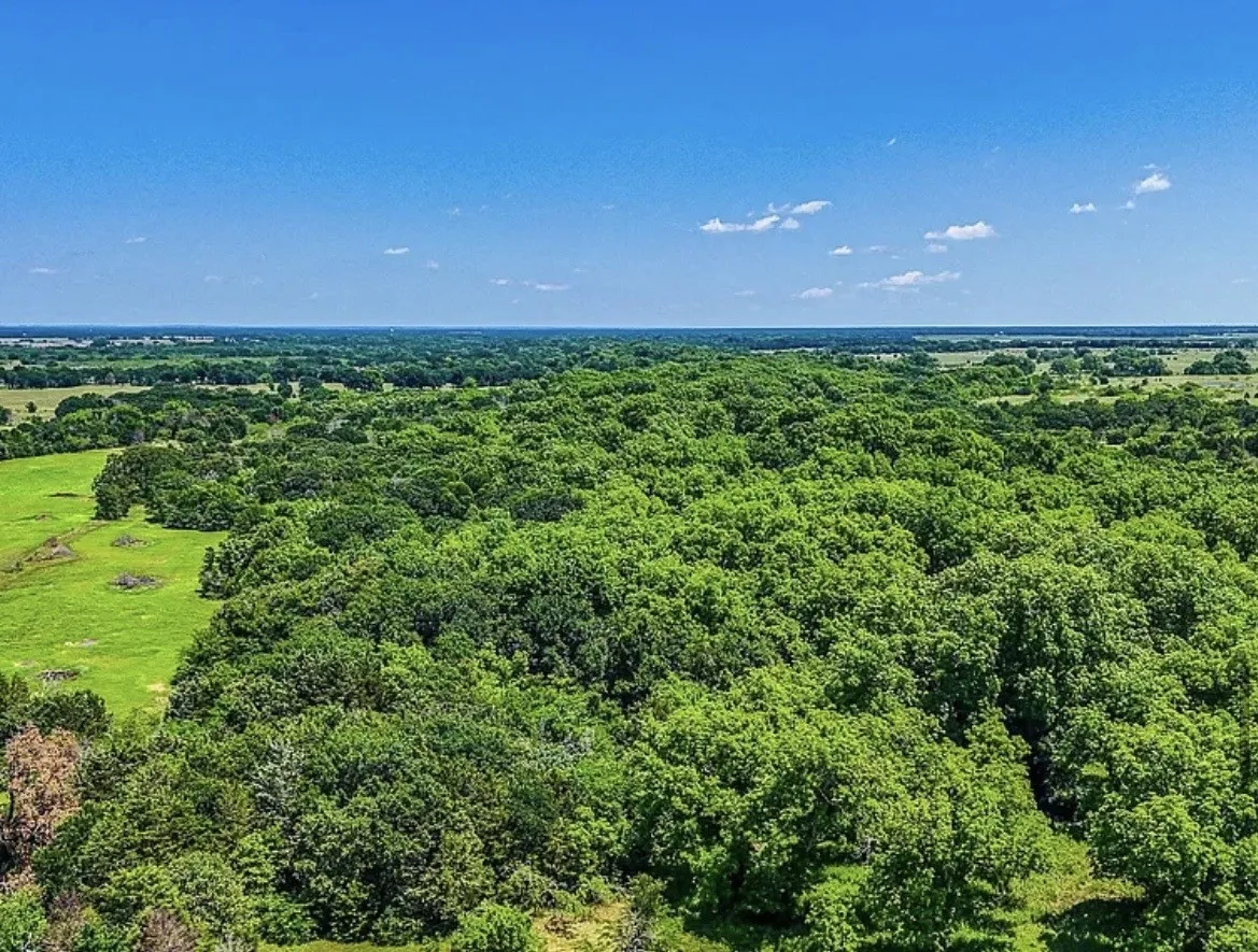 Unimproved Land For Sale in Navarro County , 301 County Road 0120, Kerens, Texas 75144, 0, 0, Garage spaces, 0 Sqft, built in 0, mls#21374131, Real Estate Agent in Kerens, Homes For Sale in Navarro county, Homes For Sale in Kerens, Realtor in Kerens Texas, Real Estate Brokerage Independent Realty Texas, Luminita Cordes Realtor