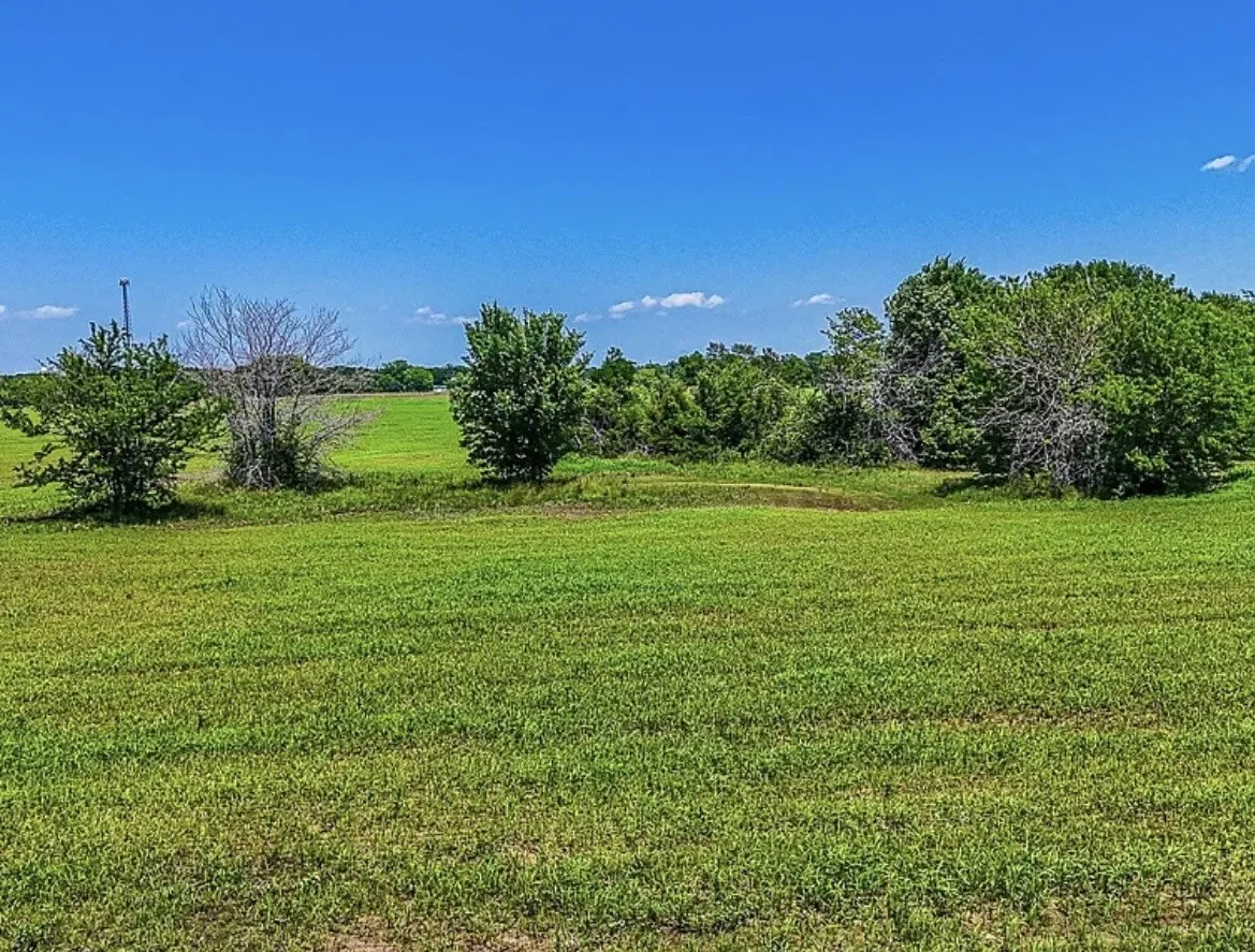 Unimproved Land For Sale in Navarro County , 301 County Road 0120, Kerens, Texas 75144, 0, 0, Garage spaces, 0 Sqft, built in 0, mls#21374131, Real Estate Agent in Kerens, Homes For Sale in Navarro county, Homes For Sale in Kerens, Realtor in Kerens Texas, Real Estate Brokerage Independent Realty Texas, Luminita Cordes Realtor