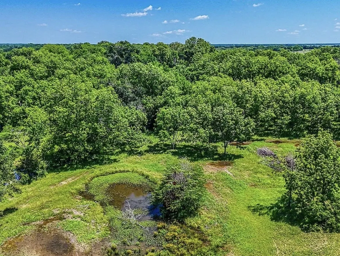 Unimproved Land For Sale in Navarro County , 301 County Road 0120, Kerens, Texas 75144, 0, 0, Garage spaces, 0 Sqft, built in 0, mls#21374131, Real Estate Agent in Kerens, Homes For Sale in Navarro county, Homes For Sale in Kerens, Realtor in Kerens Texas, Real Estate Brokerage Independent Realty Texas, Luminita Cordes Realtor