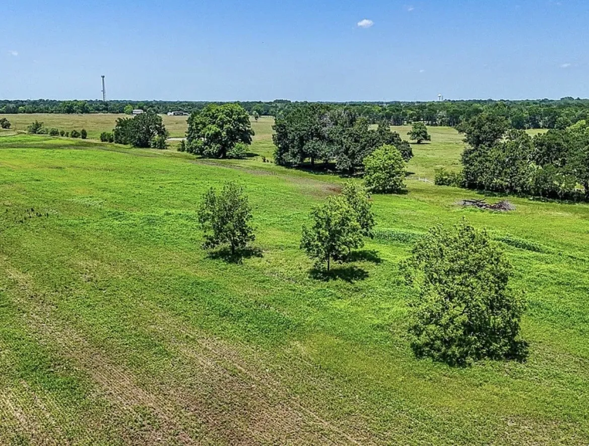 Unimproved Land For Sale in Navarro County , 301 County Road 0120, Kerens, Texas 75144, 0, 0, Garage spaces, 0 Sqft, built in 0, mls#21374131, Real Estate Agent in Kerens, Homes For Sale in Navarro county, Homes For Sale in Kerens, Realtor in Kerens Texas, Real Estate Brokerage Independent Realty Texas, Luminita Cordes Realtor