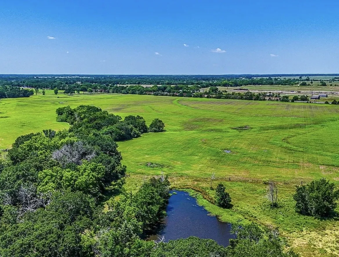 Unimproved Land For Sale in Navarro County , 301 County Road 0120, Kerens, Texas 75144, 0, 0, Garage spaces, 0 Sqft, built in 0, mls#21374131, Real Estate Agent in Kerens, Homes For Sale in Navarro county, Homes For Sale in Kerens, Realtor in Kerens Texas, Real Estate Brokerage Independent Realty Texas, Luminita Cordes Realtor