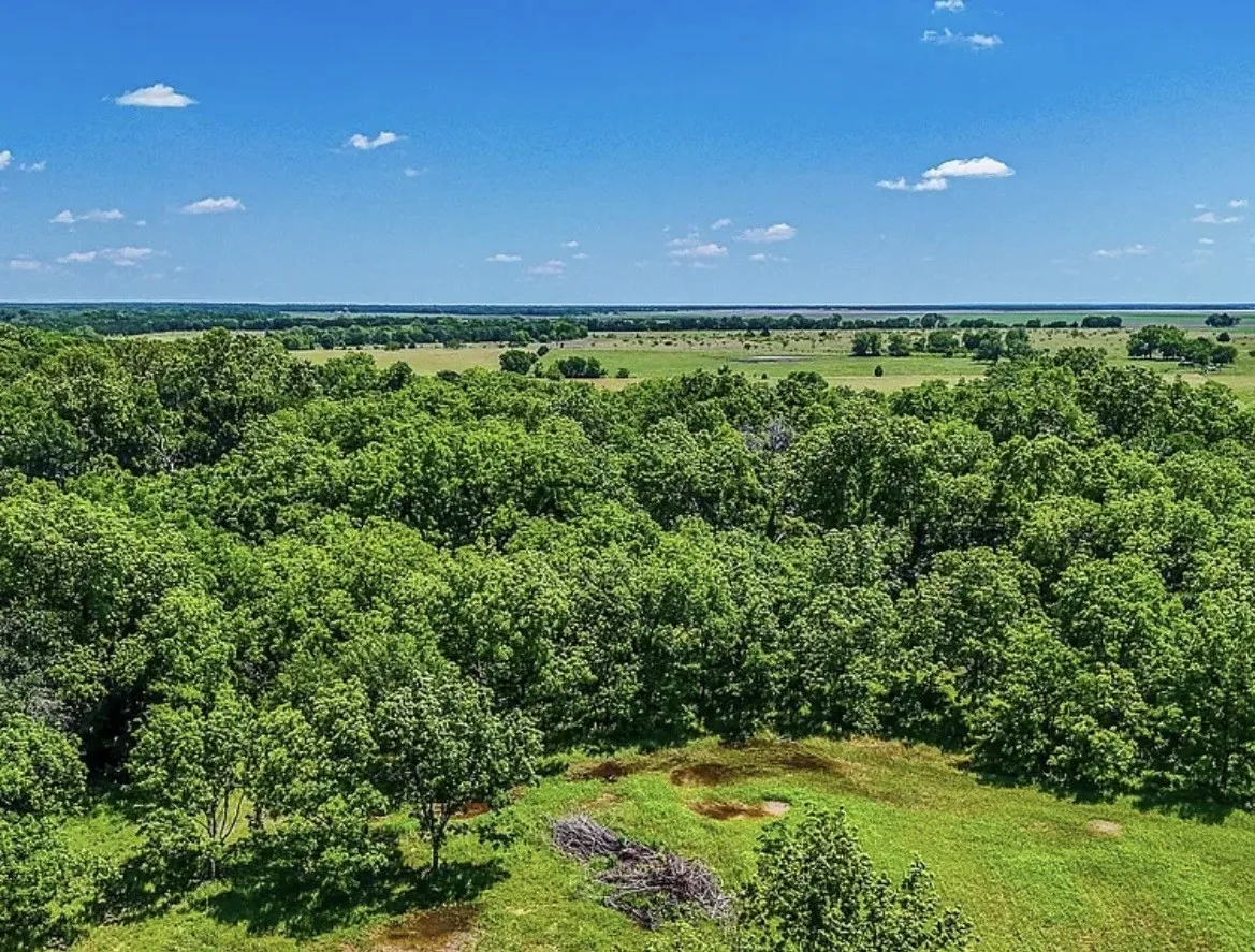 Unimproved Land For Sale in Navarro County , 301 County Road 0120, Kerens, Texas 75144, 0, 0, Garage spaces, 0 Sqft, built in 0, mls#21374131, Real Estate Agent in Kerens, Homes For Sale in Navarro county, Homes For Sale in Kerens, Realtor in Kerens Texas, Real Estate Brokerage Independent Realty Texas, Luminita Cordes Realtor