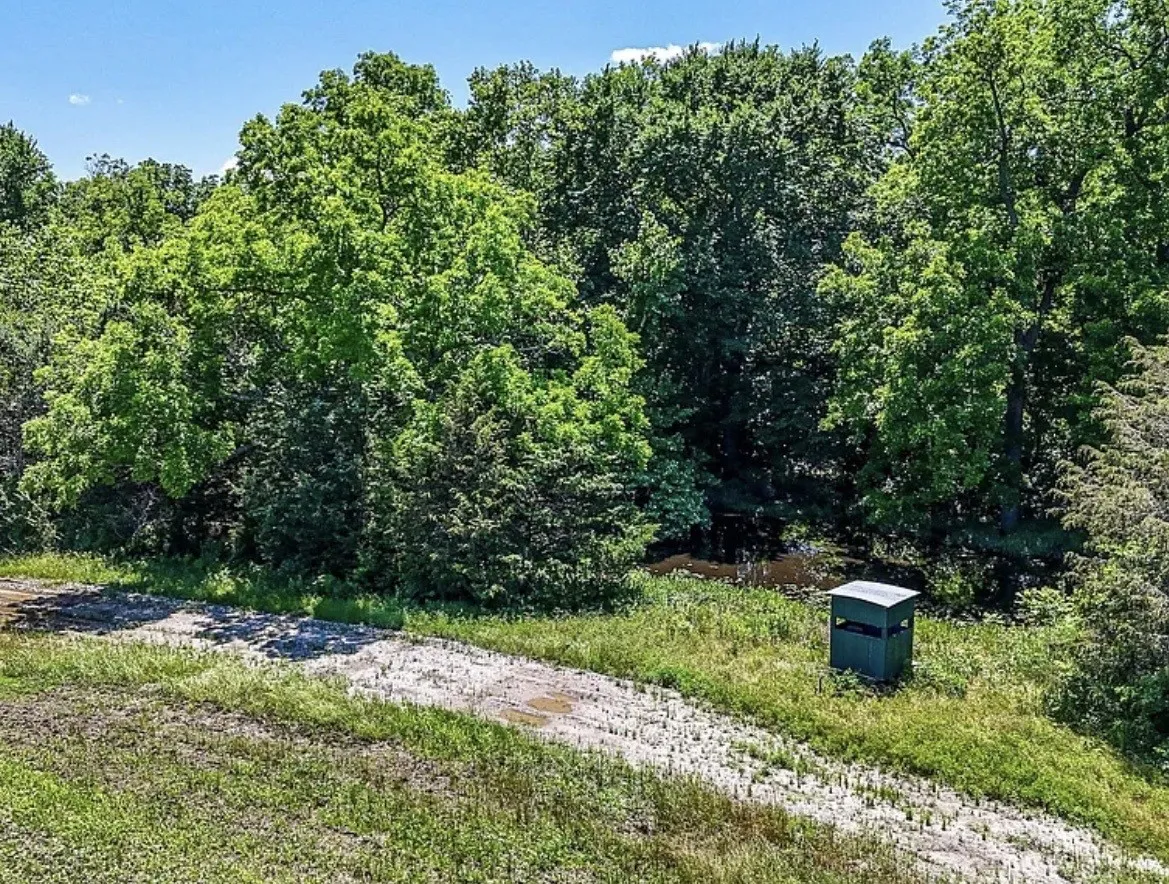 Unimproved Land For Sale in Navarro County , 301 County Road 0120, Kerens, Texas 75144, 0, 0, Garage spaces, 0 Sqft, built in 0, mls#21374131, Real Estate Agent in Kerens, Homes For Sale in Navarro county, Homes For Sale in Kerens, Realtor in Kerens Texas, Real Estate Brokerage Independent Realty Texas, Luminita Cordes Realtor