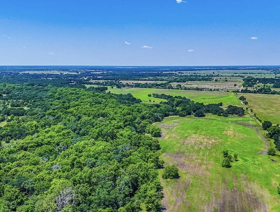 Unimproved Land For Sale in Navarro County , 301 County Road 0120, Kerens, Texas 75144, 0, 0, Garage spaces, 0 Sqft, built in 0, mls#21374131, Real Estate Agent in Kerens, Homes For Sale in Navarro county, Homes For Sale in Kerens, Realtor in Kerens Texas, Real Estate Brokerage Independent Realty Texas, Luminita Cordes Realtor