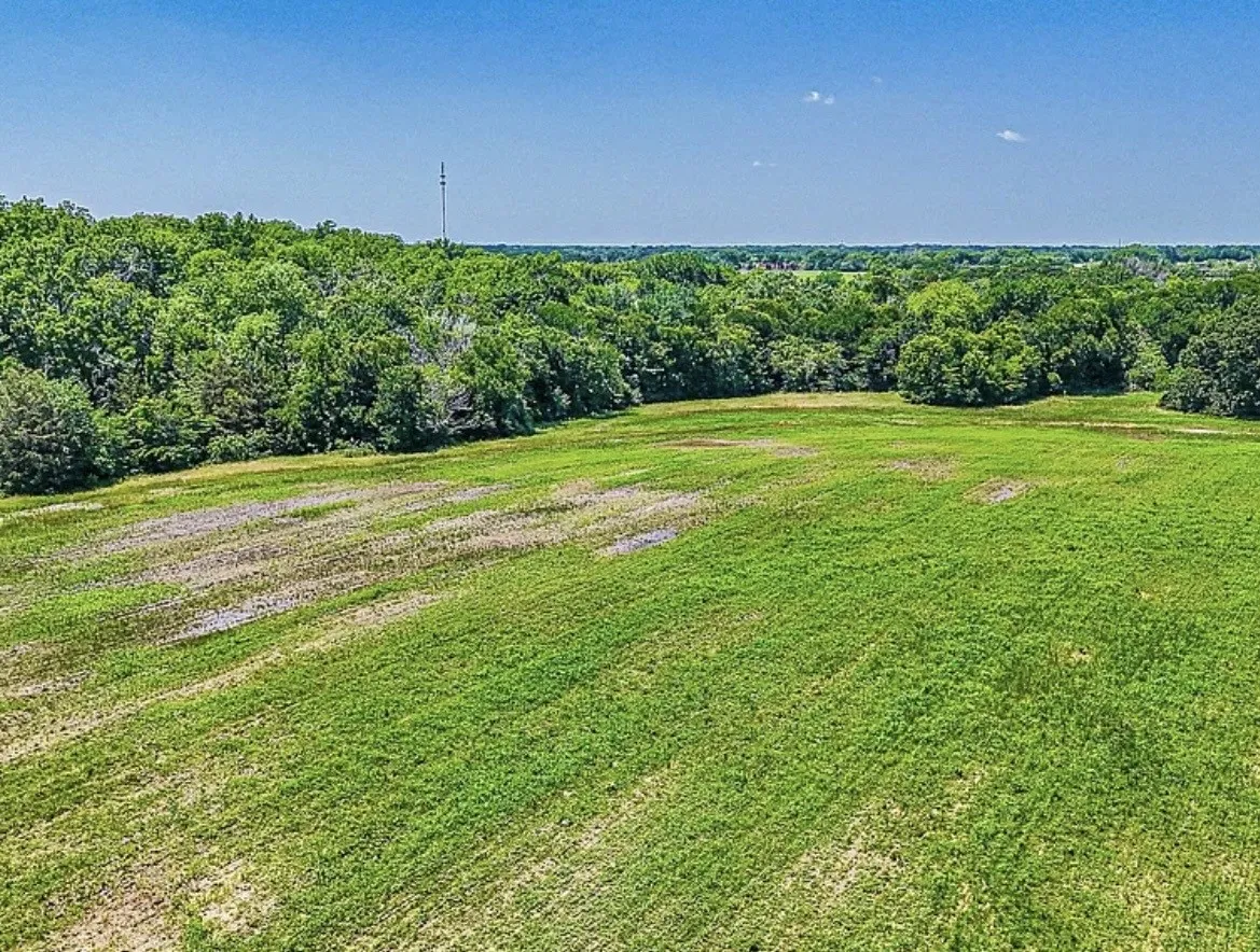 Unimproved Land For Sale in Navarro County , 301 County Road 0120, Kerens, Texas 75144, 0, 0, Garage spaces, 0 Sqft, built in 0, mls#21374131, Real Estate Agent in Kerens, Homes For Sale in Navarro county, Homes For Sale in Kerens, Realtor in Kerens Texas, Real Estate Brokerage Independent Realty Texas, Luminita Cordes Realtor