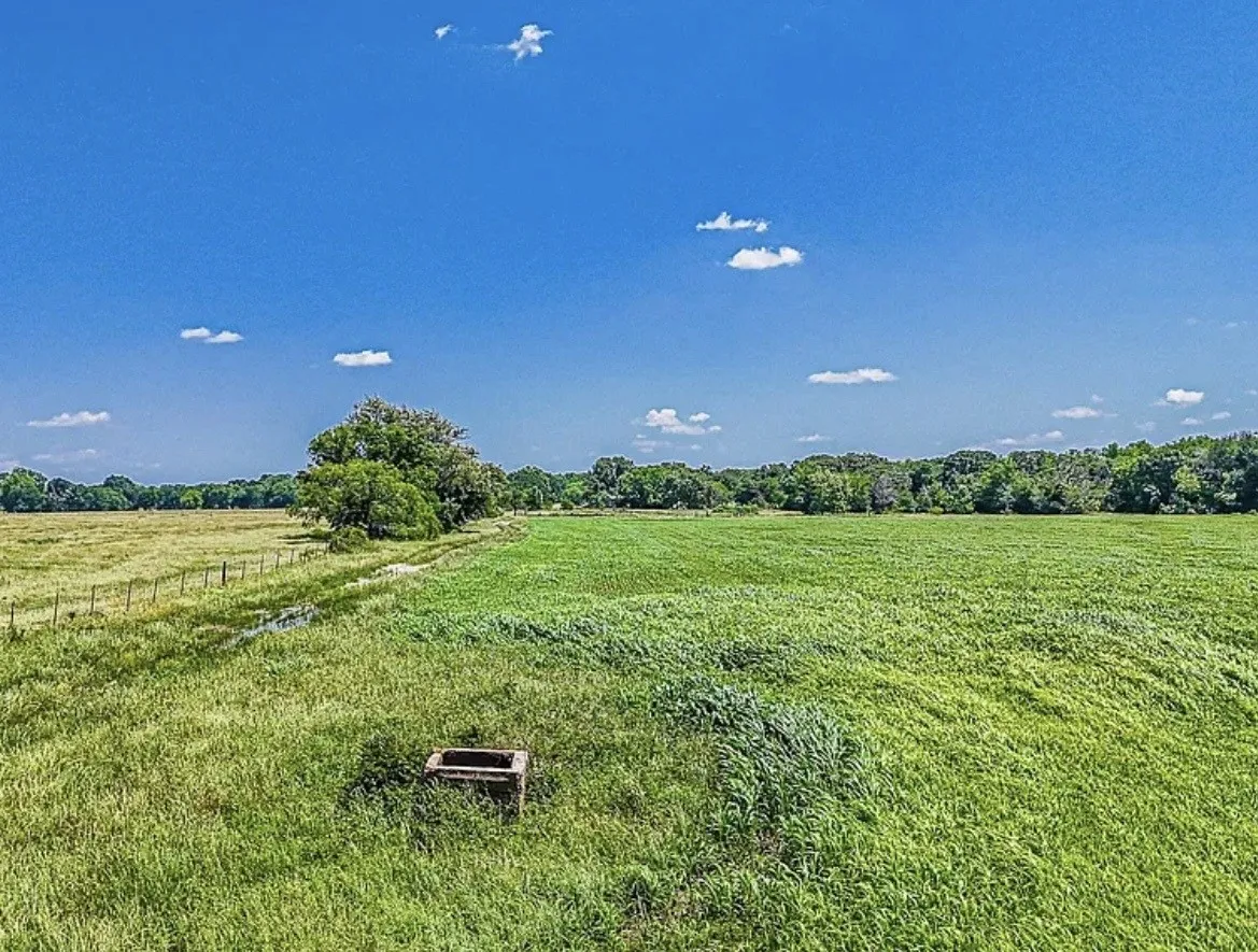 Unimproved Land For Sale in Navarro County , 301 County Road 0120, Kerens, Texas 75144, 0, 0, Garage spaces, 0 Sqft, built in 0, mls#21374131, Real Estate Agent in Kerens, Homes For Sale in Navarro county, Homes For Sale in Kerens, Realtor in Kerens Texas, Real Estate Brokerage Independent Realty Texas, Luminita Cordes Realtor