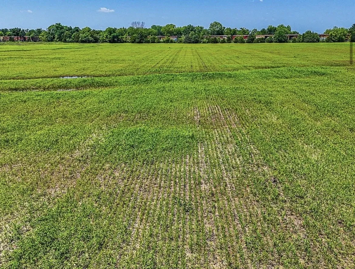 Unimproved Land For Sale in Navarro County , 301 County Road 0120, Kerens, Texas 75144, 0, 0, Garage spaces, 0 Sqft, built in 0, mls#21374131, Real Estate Agent in Kerens, Homes For Sale in Navarro county, Homes For Sale in Kerens, Realtor in Kerens Texas, Real Estate Brokerage Independent Realty Texas, Luminita Cordes Realtor