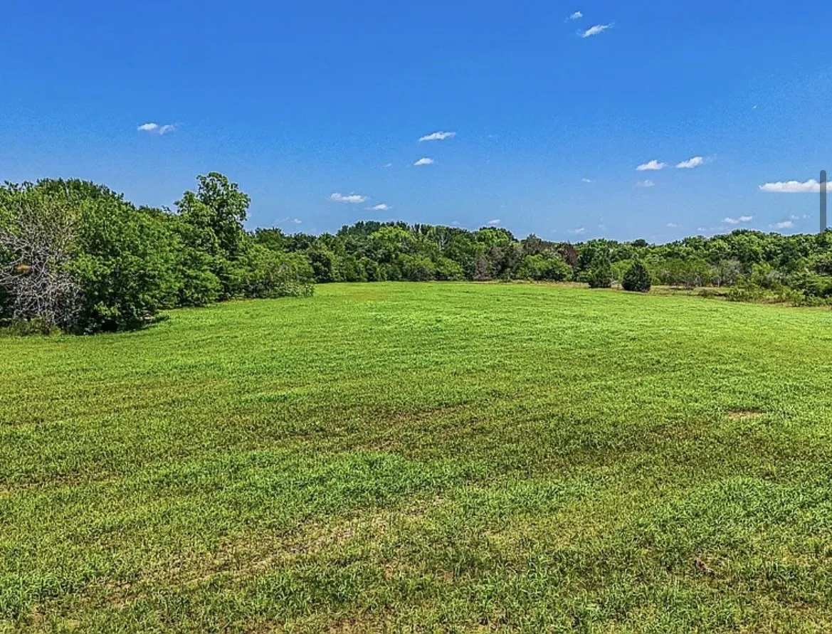 Unimproved Land For Sale in Navarro County , 301 County Road 0120, Kerens, Texas 75144, 0, 0, Garage spaces, 0 Sqft, built in 0, mls#21374131, Real Estate Agent in Kerens, Homes For Sale in Navarro county, Homes For Sale in Kerens, Realtor in Kerens Texas, Real Estate Brokerage Independent Realty Texas, Luminita Cordes Realtor