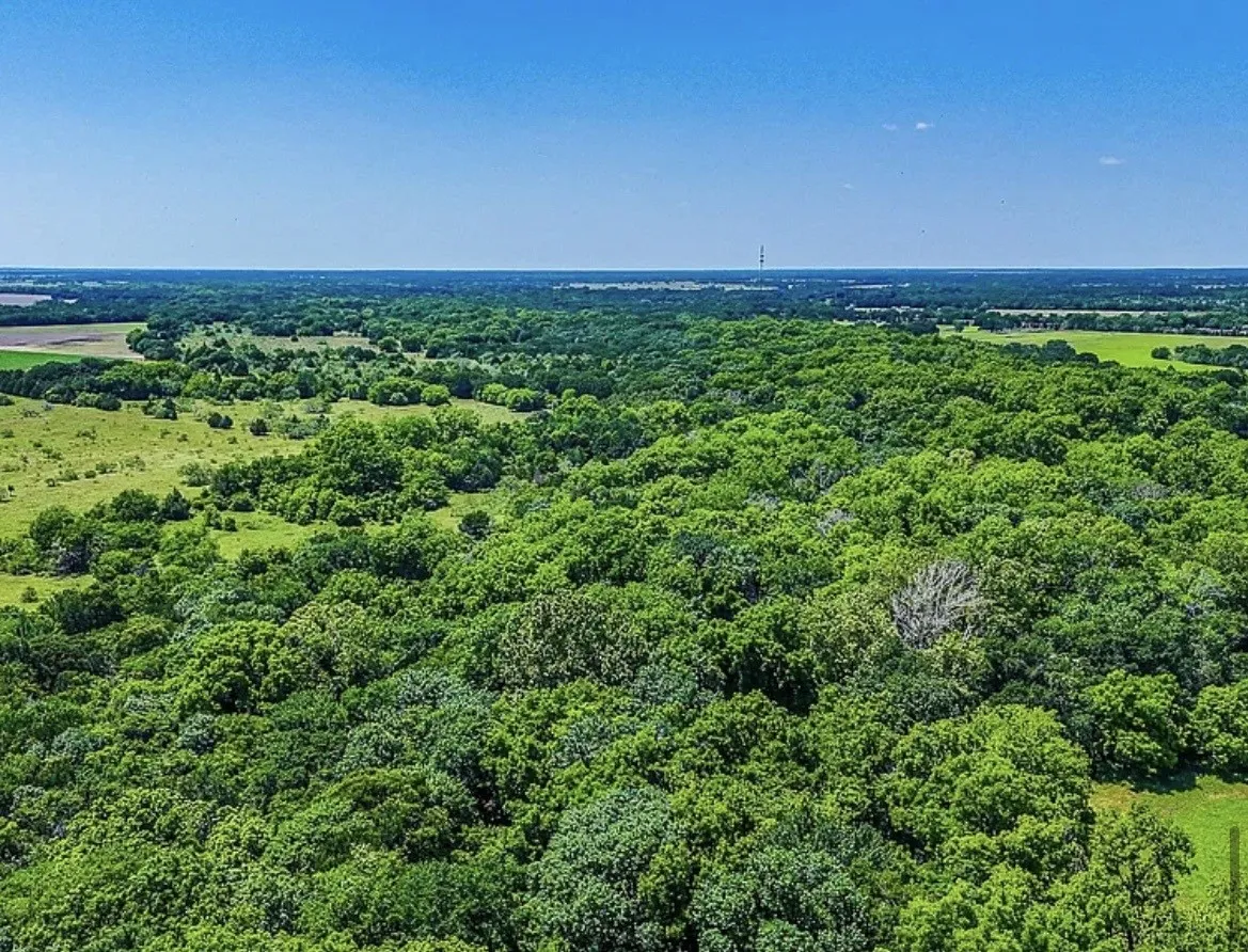 Unimproved Land For Sale in Navarro County , 301 County Road 0120, Kerens, Texas 75144, 0, 0, Garage spaces, 0 Sqft, built in 0, mls#21374131, Real Estate Agent in Kerens, Homes For Sale in Navarro county, Homes For Sale in Kerens, Realtor in Kerens Texas, Real Estate Brokerage Independent Realty Texas, Luminita Cordes Realtor