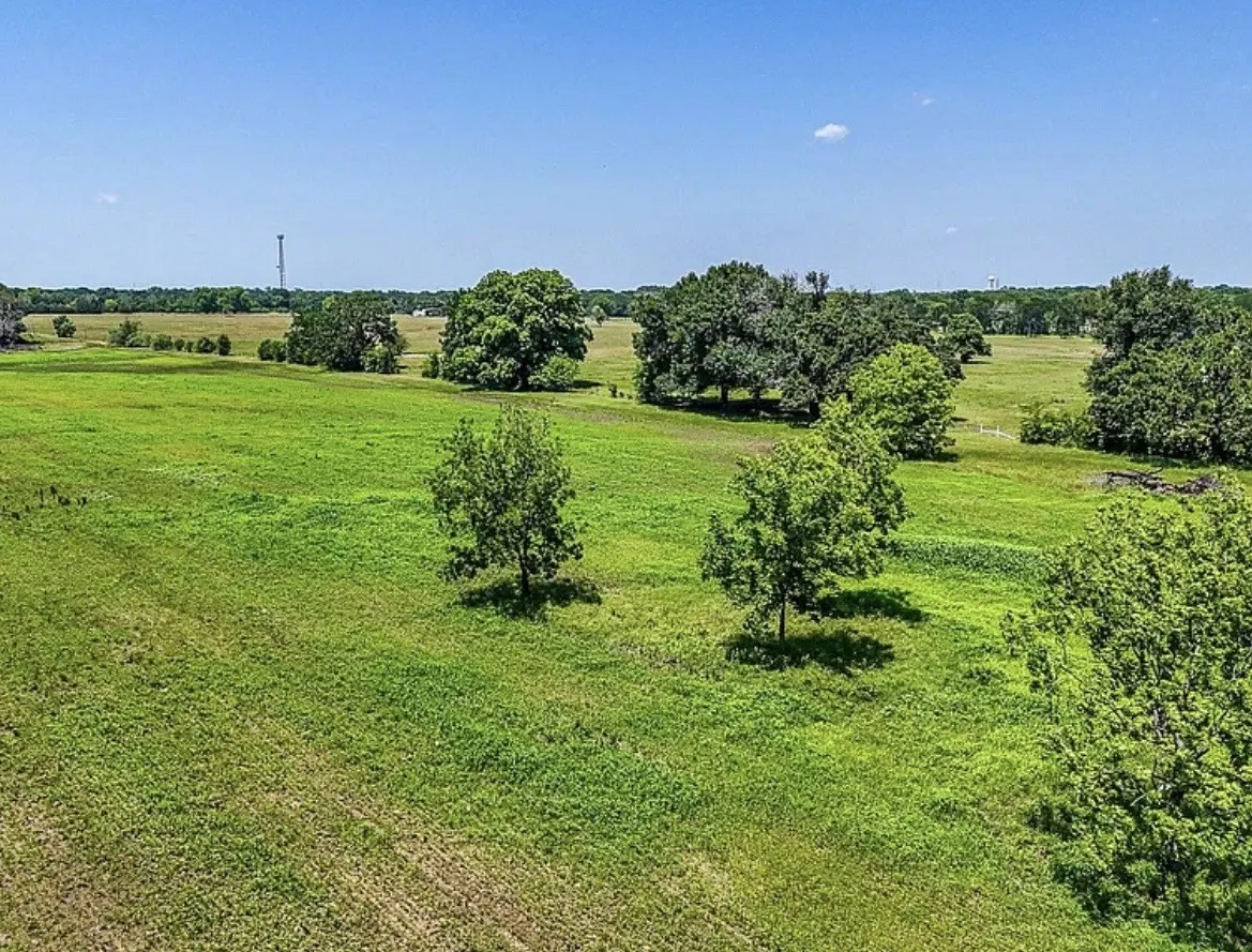 Unimproved Land For Sale in Navarro County , 301 County Road 0120, Kerens, Texas 75144, 0, 0, Garage spaces, 0 Sqft, built in 0, mls#21374131, Real Estate Agent in Kerens, Homes For Sale in Navarro county, Homes For Sale in Kerens, Realtor in Kerens Texas, Real Estate Brokerage Independent Realty Texas, Luminita Cordes Realtor
