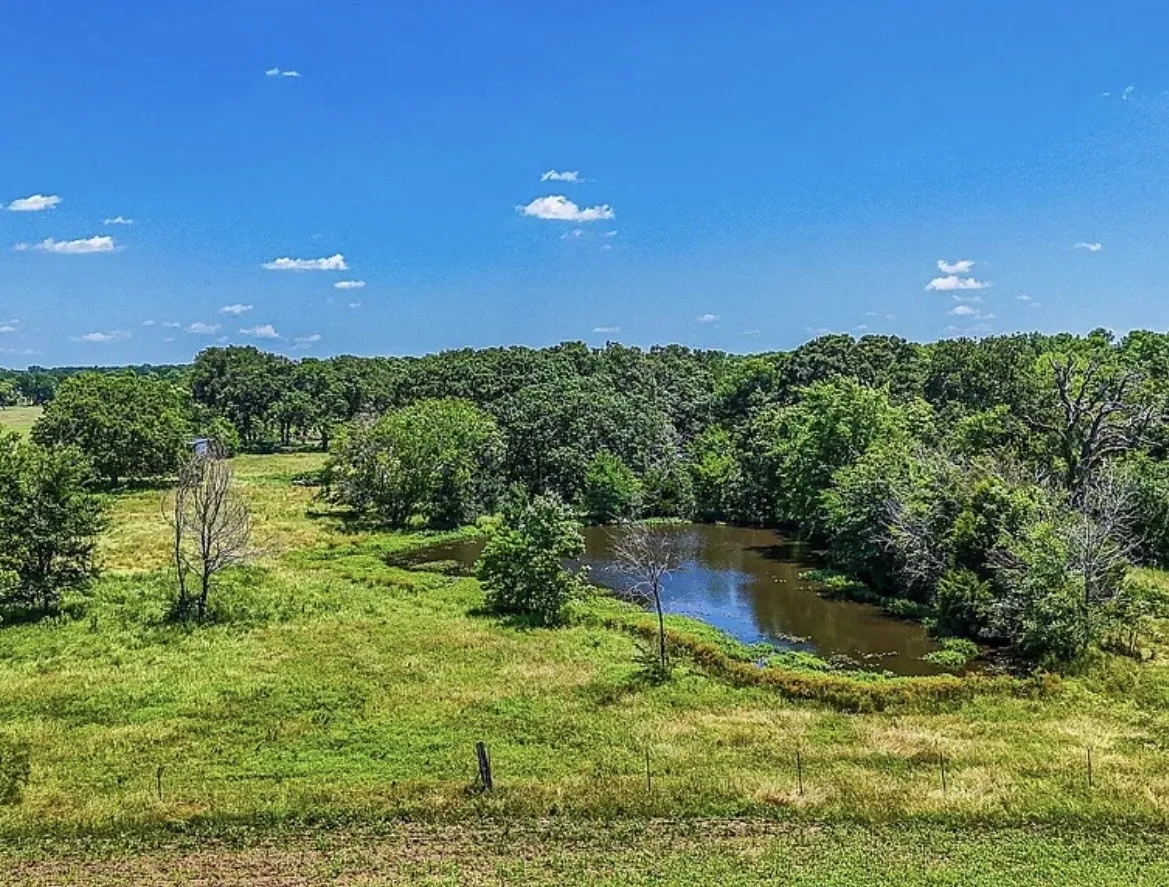 Unimproved Land For Sale in Navarro County , 301 County Road 0120, Kerens, Texas 75144, 0, 0, Garage spaces, 0 Sqft, built in 0, mls#21374131, Real Estate Agent in Kerens, Homes For Sale in Navarro county, Homes For Sale in Kerens, Realtor in Kerens Texas, Real Estate Brokerage Independent Realty Texas, Luminita Cordes Realtor