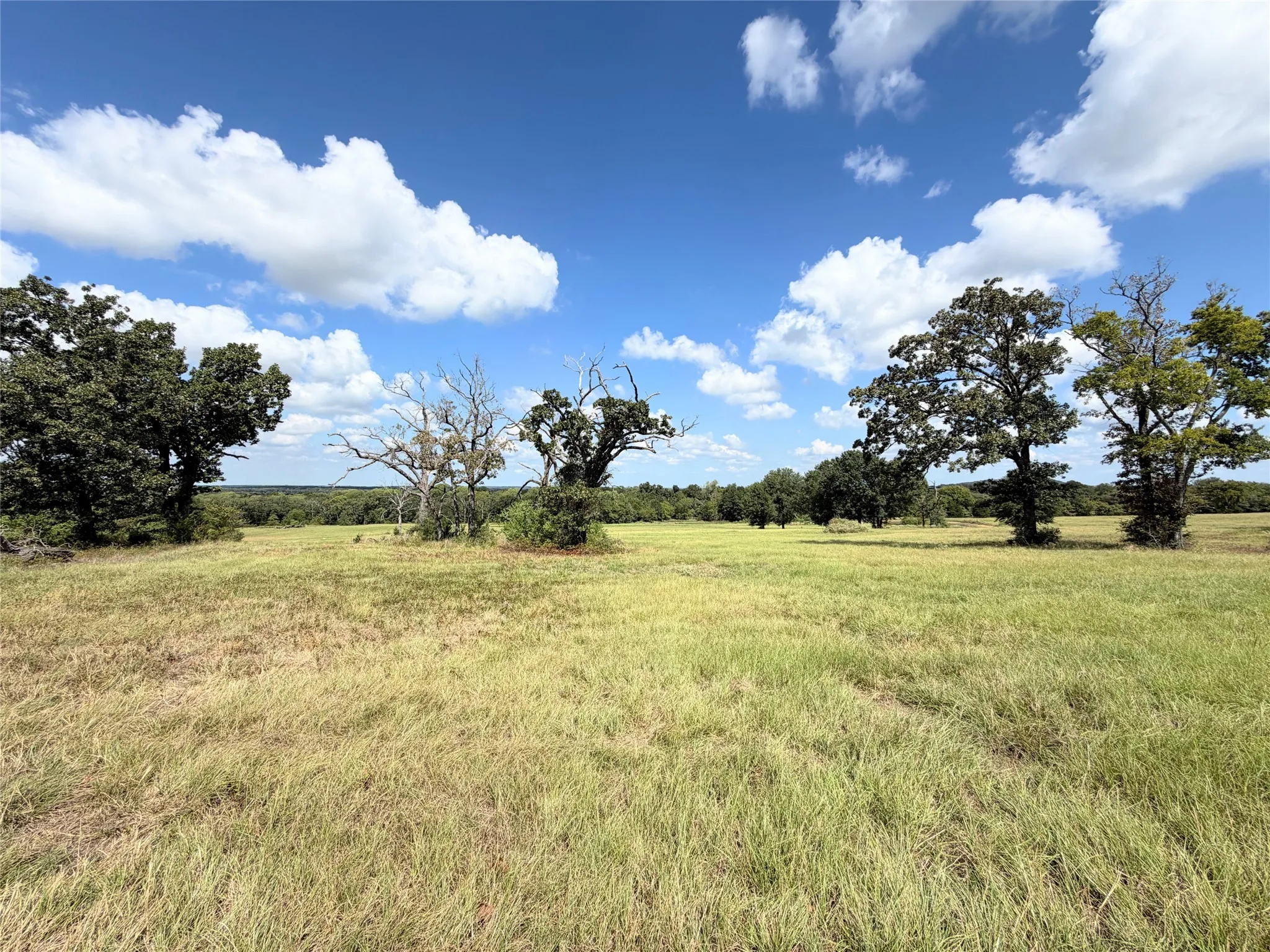 Farm For Sale in Freestone County , 170 FCR 242, Fairfield, Texas 75840, 3 Bedroom, 3 Bathroom, Garage spaces, 2,040 Sqft, built in 2020, mls#21375277, Real Estate Agent in Fairfield, Homes For Sale in Freestone county, Homes For Sale in Fairfield, Realtor in Fairfield Texas, Real Estate Brokerage Independent Realty Texas, Luminita Cordes Realtor