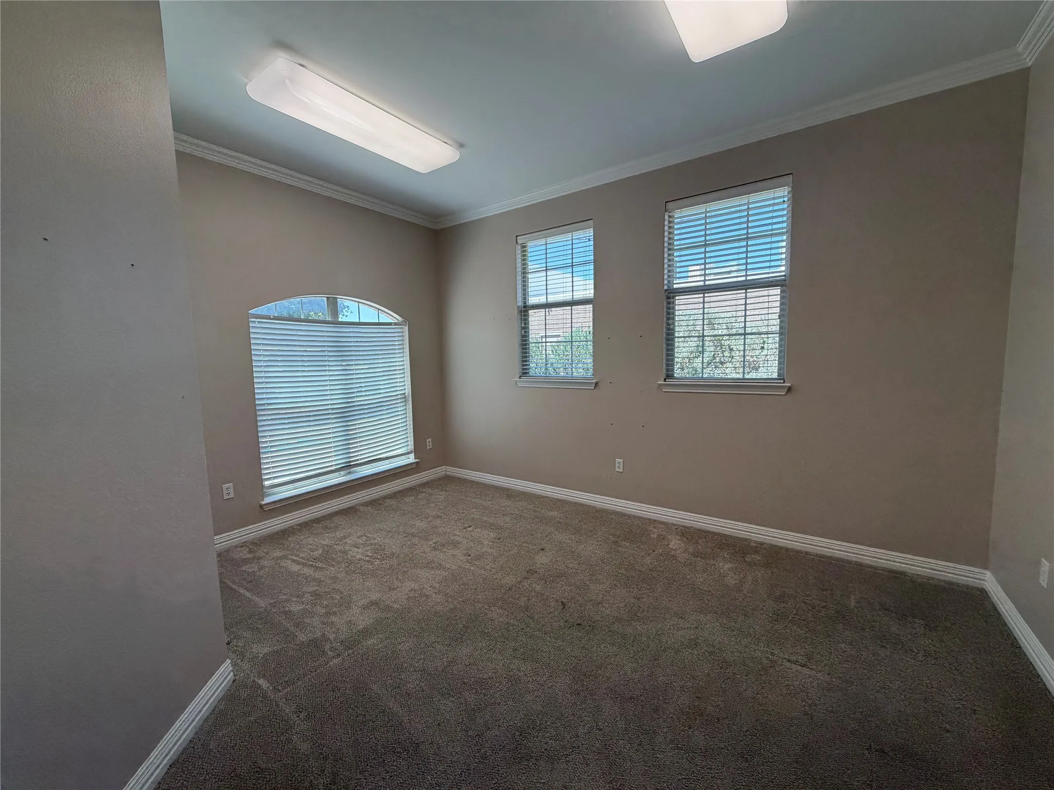 Office 1 (left side of hallway from front entry) has lots of windows.