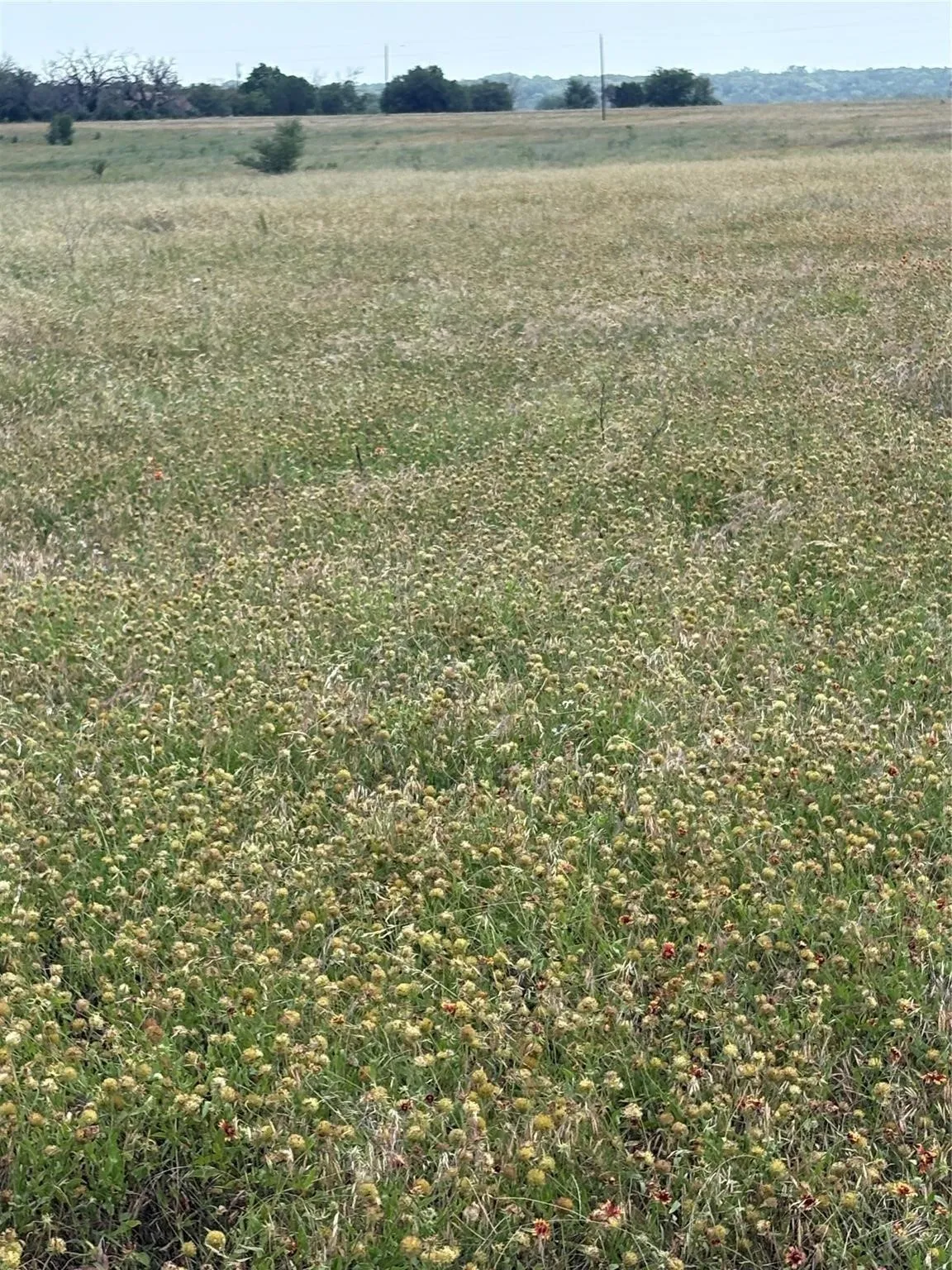 Unimproved Land For Sale in Bosque County , TBD LOT 4 CR 3565, China Spring, Texas 76633, 0, 0, Garage spaces, 0 Sqft, built in 0, mls#21382381, Real Estate Agent in China Spring, Homes For Sale in Bosque county, Homes For Sale in China Spring, Realtor in China Spring Texas, Real Estate Brokerage Independent Realty Texas, Luminita Cordes Realtor