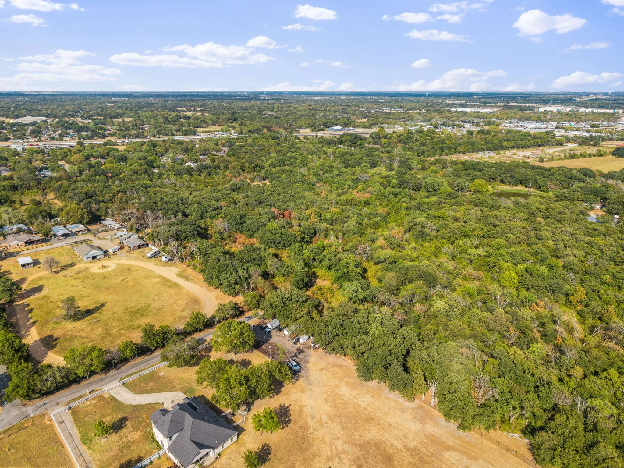 Expansive wooded acreage featuring diverse tree cover and level clearings
