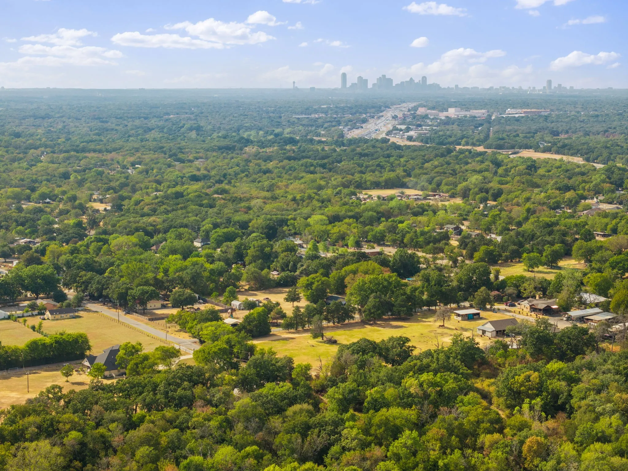 Expansive tree canopy with scattered homes and a distant urban skyline