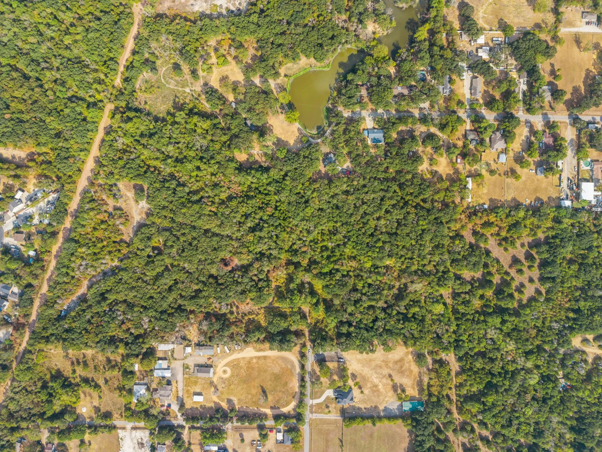 Expansive wooded acreage with a distinct natural pond