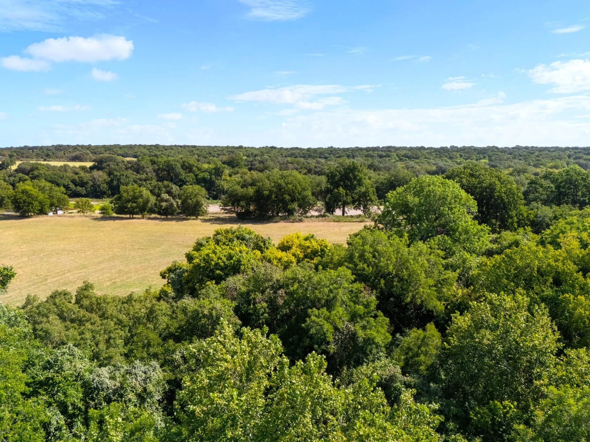 Unimproved Land For Sale in Bosque County , 131 Private Road 3662, China Spring, Texas 76633, 0, 0, Garage spaces, 0 Sqft, built in 0, mls#21382436, Real Estate Agent in China Spring, Homes For Sale in Bosque county, Homes For Sale in China Spring, Realtor in China Spring Texas, Real Estate Brokerage Independent Realty Texas, Luminita Cordes Realtor