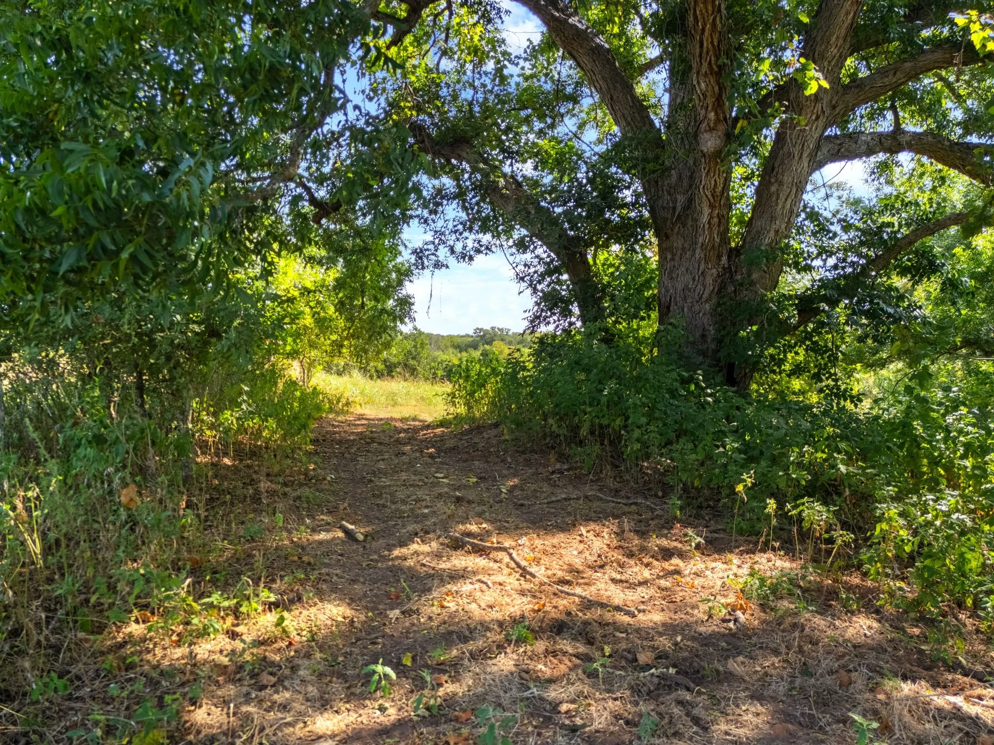 Unimproved Land For Sale in Bosque County , 131 Private Road 3662, China Spring, Texas 76633, 0, 0, Garage spaces, 0 Sqft, built in 0, mls#21382436, Real Estate Agent in China Spring, Homes For Sale in Bosque county, Homes For Sale in China Spring, Realtor in China Spring Texas, Real Estate Brokerage Independent Realty Texas, Luminita Cordes Realtor