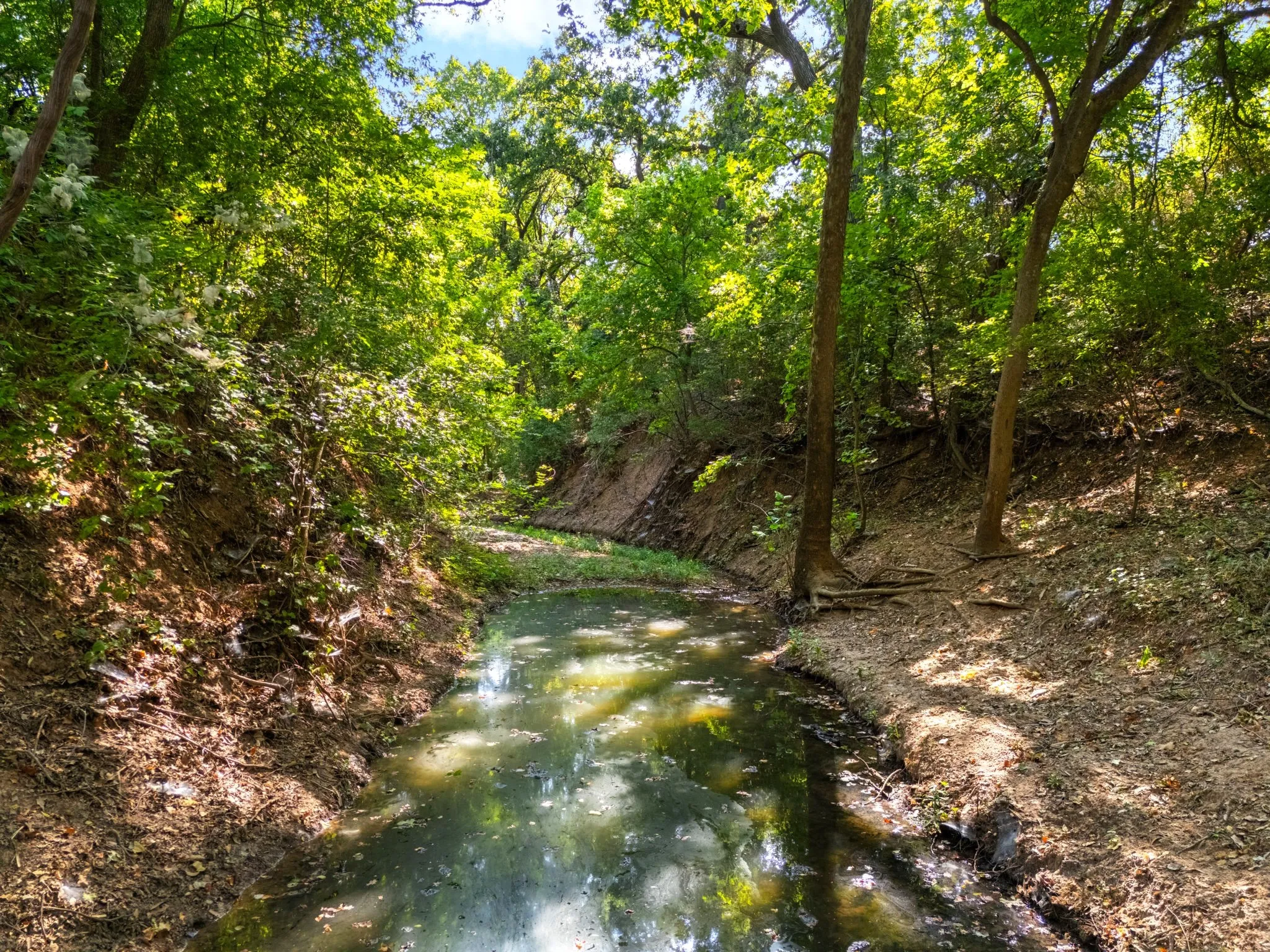Unimproved Land For Sale in Bosque County , 131 Private Road 3662, China Spring, Texas 76633, 0, 0, Garage spaces, 0 Sqft, built in 0, mls#21382436, Real Estate Agent in China Spring, Homes For Sale in Bosque county, Homes For Sale in China Spring, Realtor in China Spring Texas, Real Estate Brokerage Independent Realty Texas, Luminita Cordes Realtor