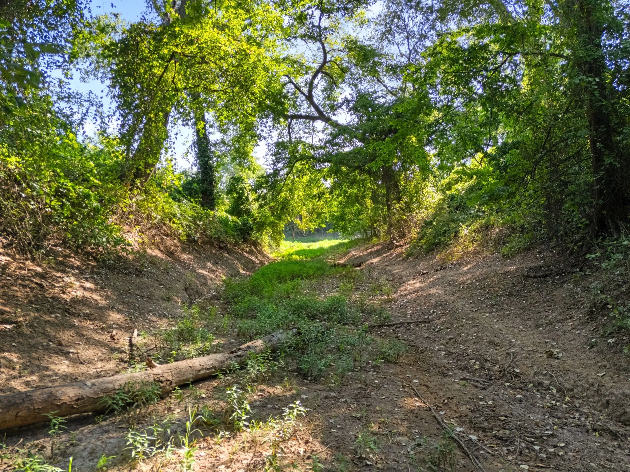 Unimproved Land For Sale in Bosque County , 131 Private Road 3662, China Spring, Texas 76633, 0, 0, Garage spaces, 0 Sqft, built in 0, mls#21382436, Real Estate Agent in China Spring, Homes For Sale in Bosque county, Homes For Sale in China Spring, Realtor in China Spring Texas, Real Estate Brokerage Independent Realty Texas, Luminita Cordes Realtor