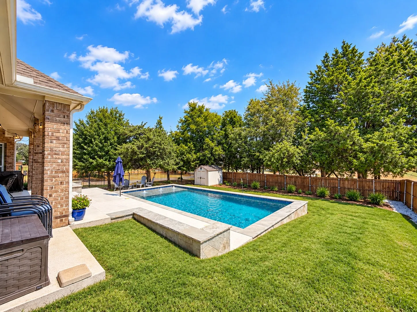 Backyard - Pool and Patio