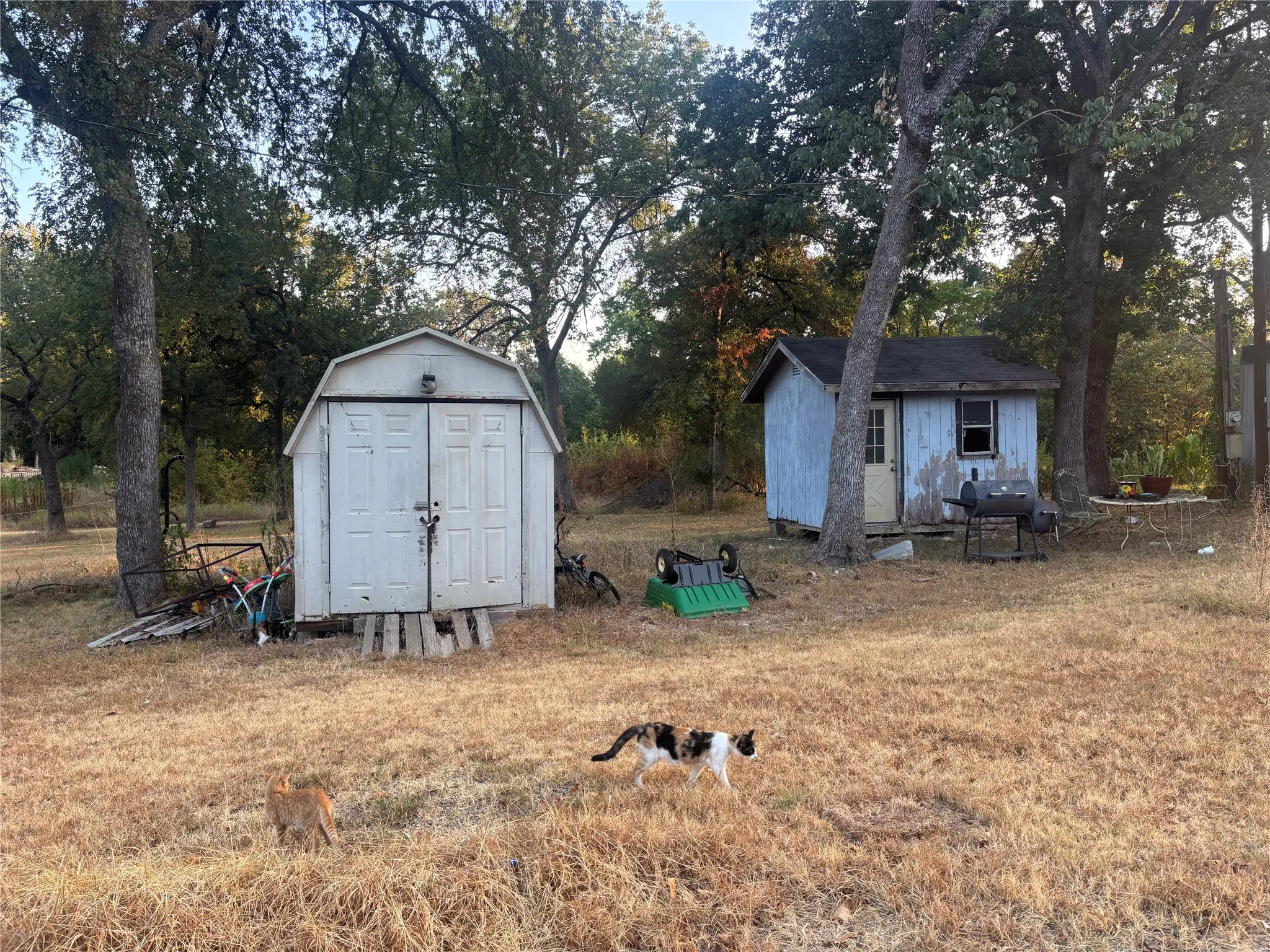 Mobile Home For Sale in Grayson County , 919 E Morgan Street, Denison, Texas 75021, 3 Bedroom, 1 Bathroom, Garage spaces, 924 Sqft, built in 1985, mls#21382459, Real Estate Agent in Denison, Homes For Sale in Grayson county, Homes For Sale in Denison, Realtor in Denison Texas, Real Estate Brokerage Independent Realty Texas, Luminita Cordes Realtor