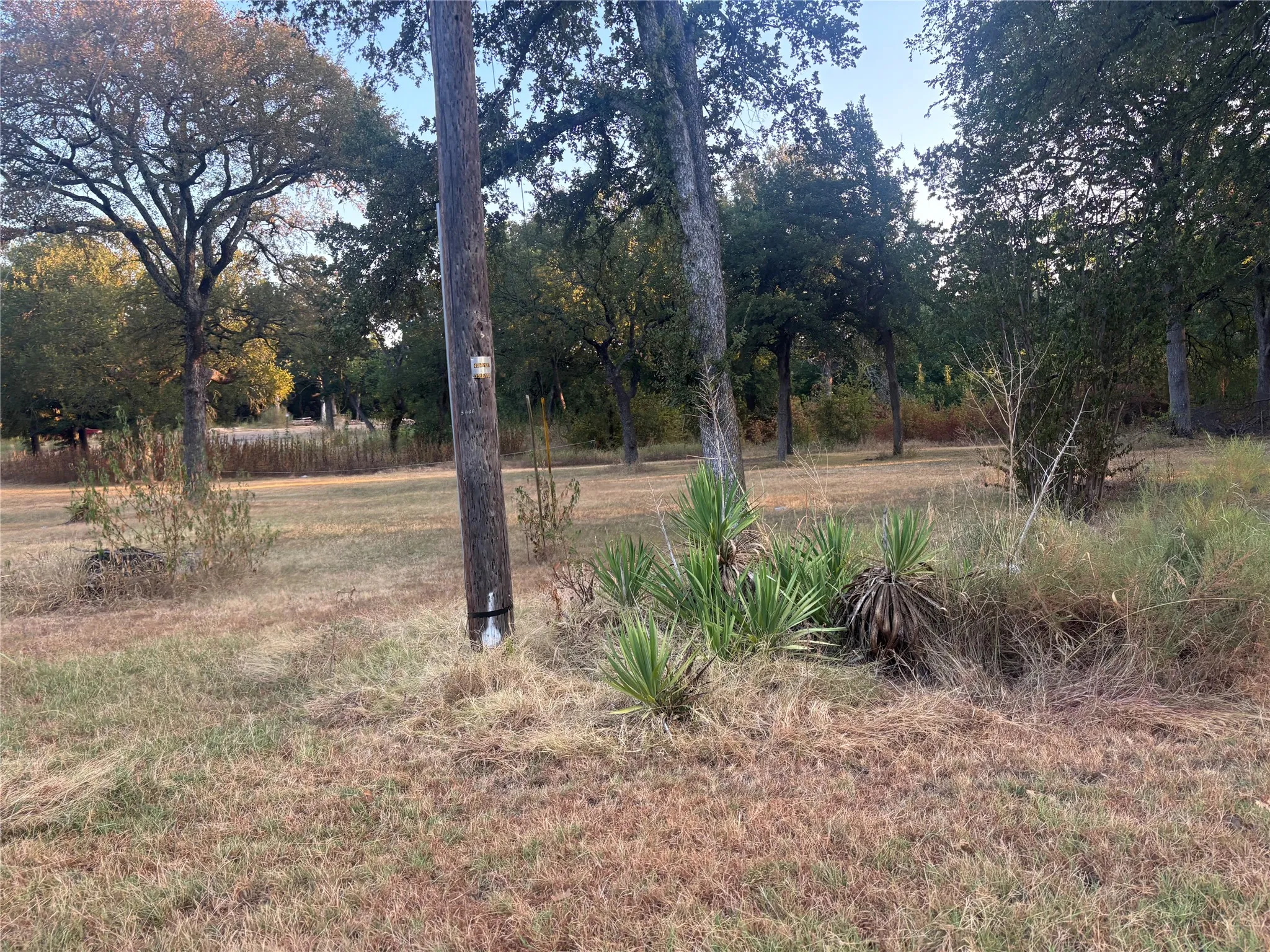 Mobile Home For Sale in Grayson County , 919 E Morgan Street, Denison, Texas 75021, 3 Bedroom, 1 Bathroom, Garage spaces, 924 Sqft, built in 1985, mls#21382459, Real Estate Agent in Denison, Homes For Sale in Grayson county, Homes For Sale in Denison, Realtor in Denison Texas, Real Estate Brokerage Independent Realty Texas, Luminita Cordes Realtor