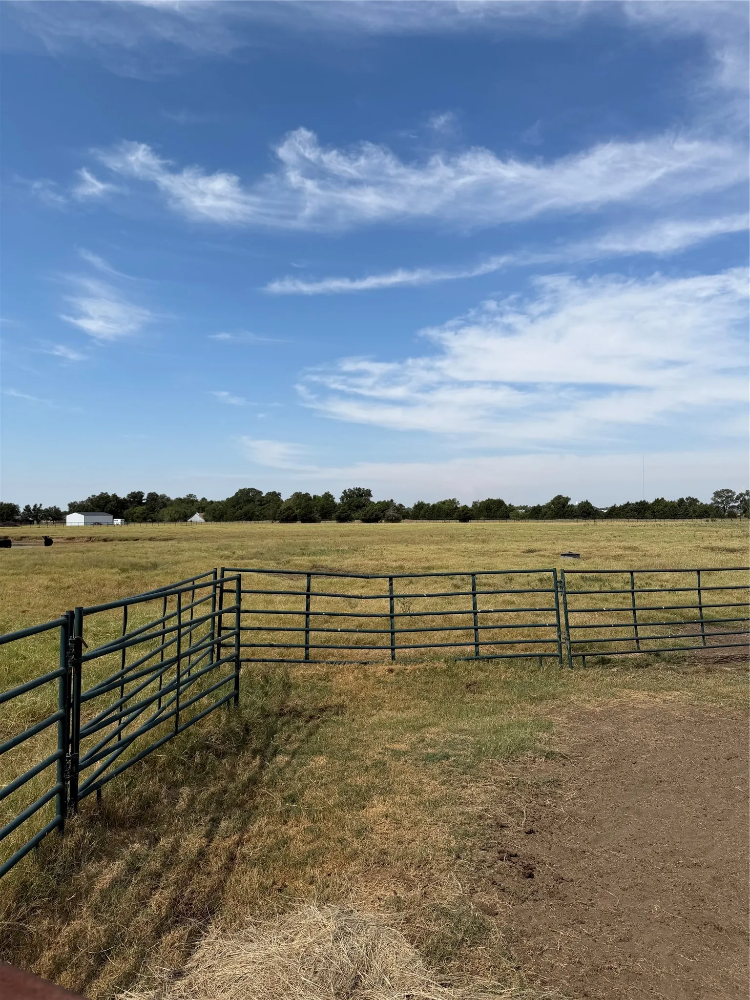 Unimproved Land For Sale in Grayson County , 215 Batey, Collinsville, Texas 76233, 0, 0, Garage spaces, 0 Sqft, built in 0, mls#21371958, Real Estate Agent in Collinsville, Homes For Sale in Grayson county, Homes For Sale in Collinsville, Realtor in Collinsville Texas, Real Estate Brokerage Independent Realty Texas, Luminita Cordes Realtor