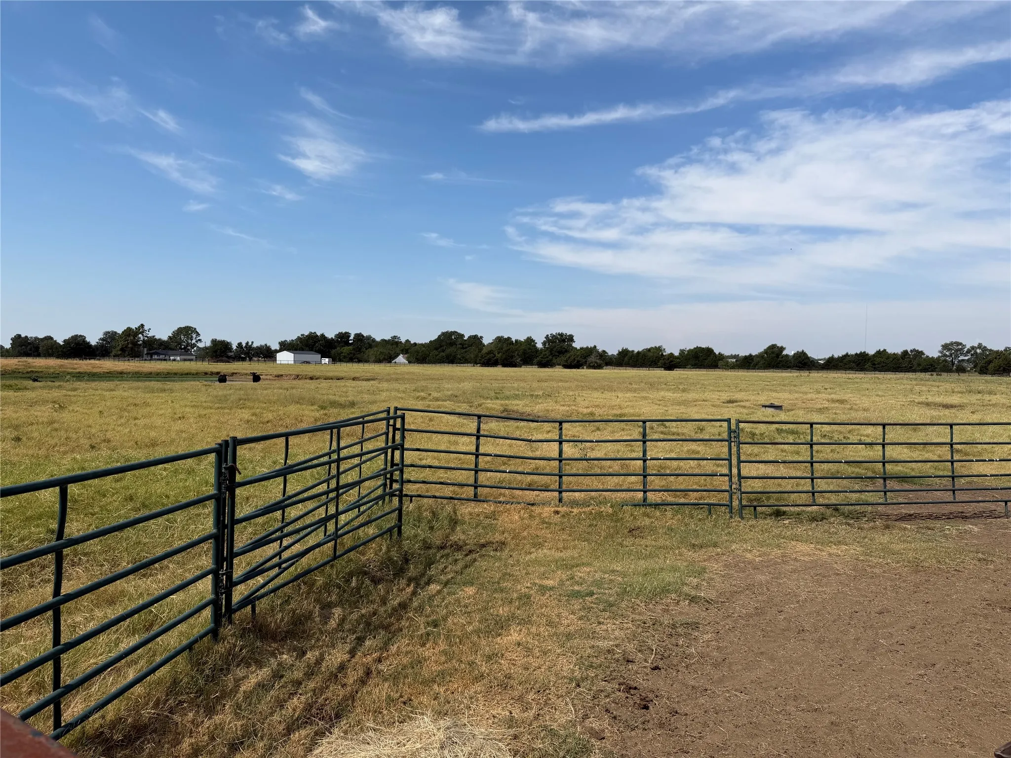 Unimproved Land For Sale in Grayson County , 215 Batey, Collinsville, Texas 76233, 0, 0, Garage spaces, 0 Sqft, built in 0, mls#21371958, Real Estate Agent in Collinsville, Homes For Sale in Grayson county, Homes For Sale in Collinsville, Realtor in Collinsville Texas, Real Estate Brokerage Independent Realty Texas, Luminita Cordes Realtor